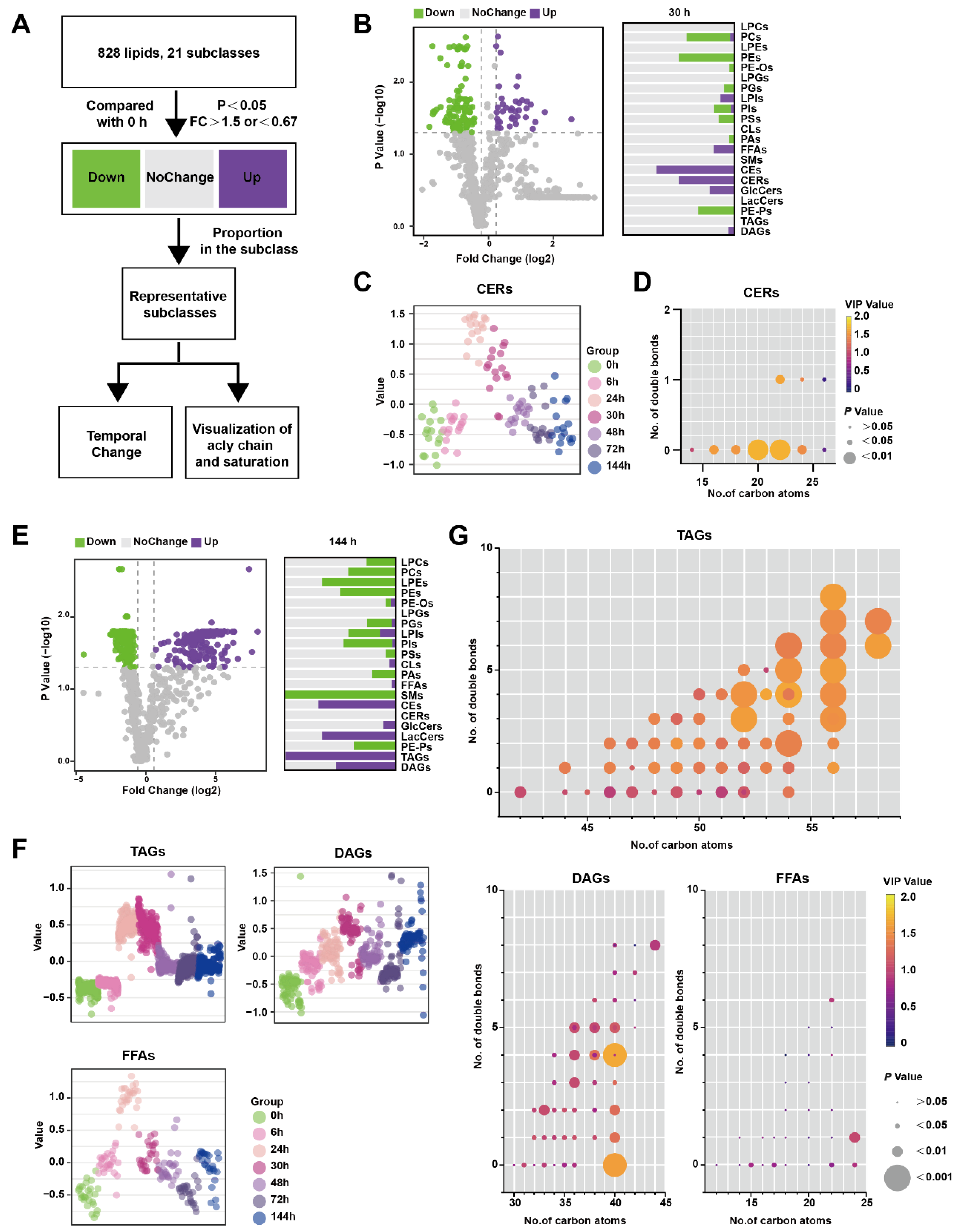 Metabolites 13 00993 g003