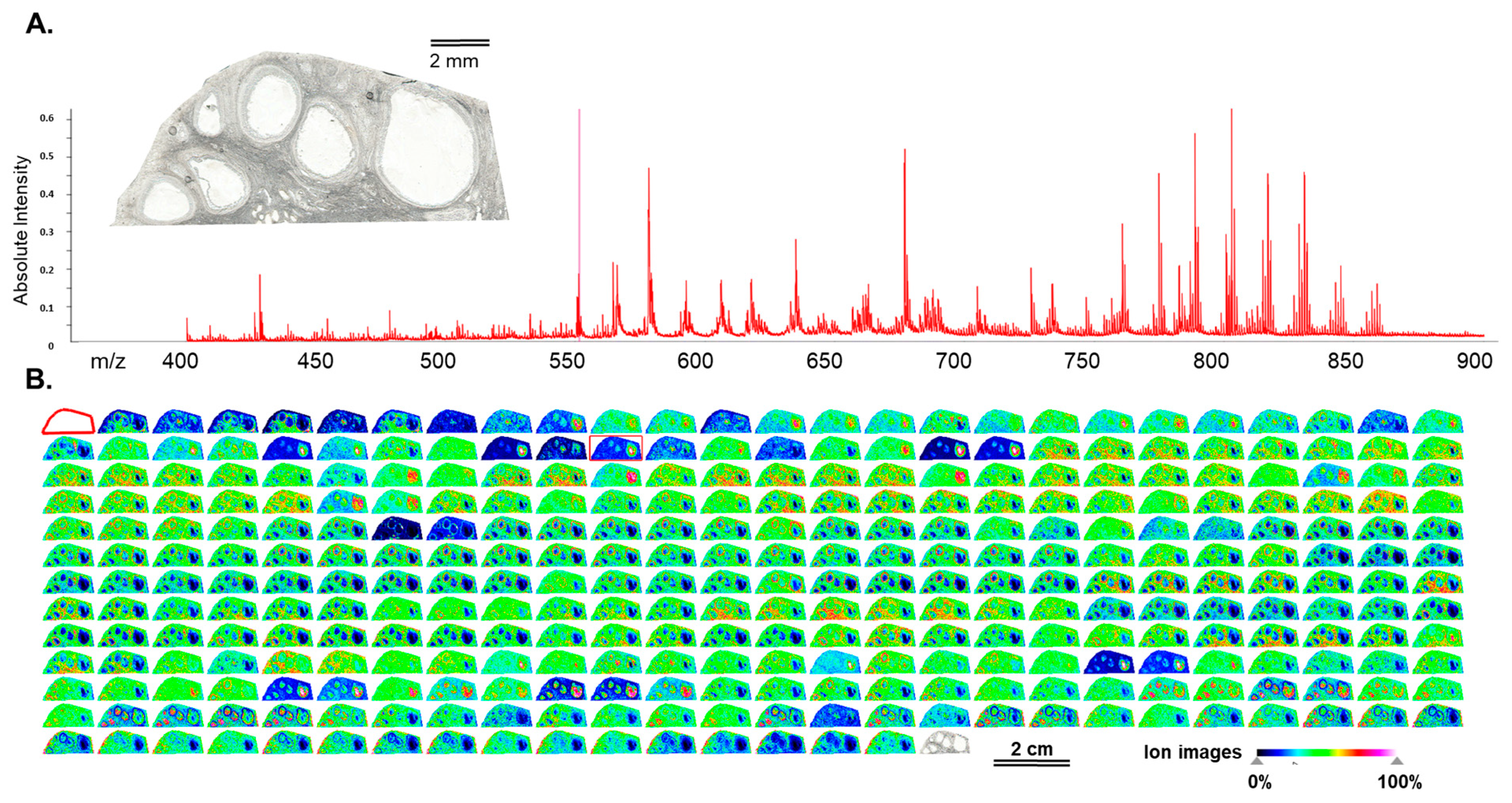 Metabolites 13 01001 g001