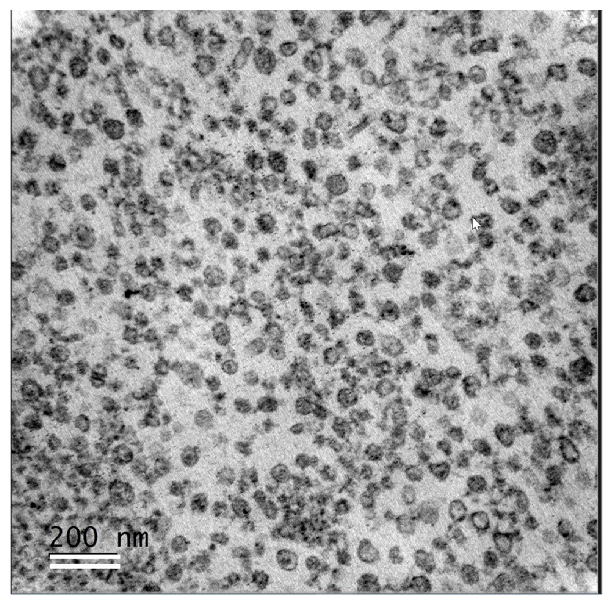 Metabolites 13 01001 g007