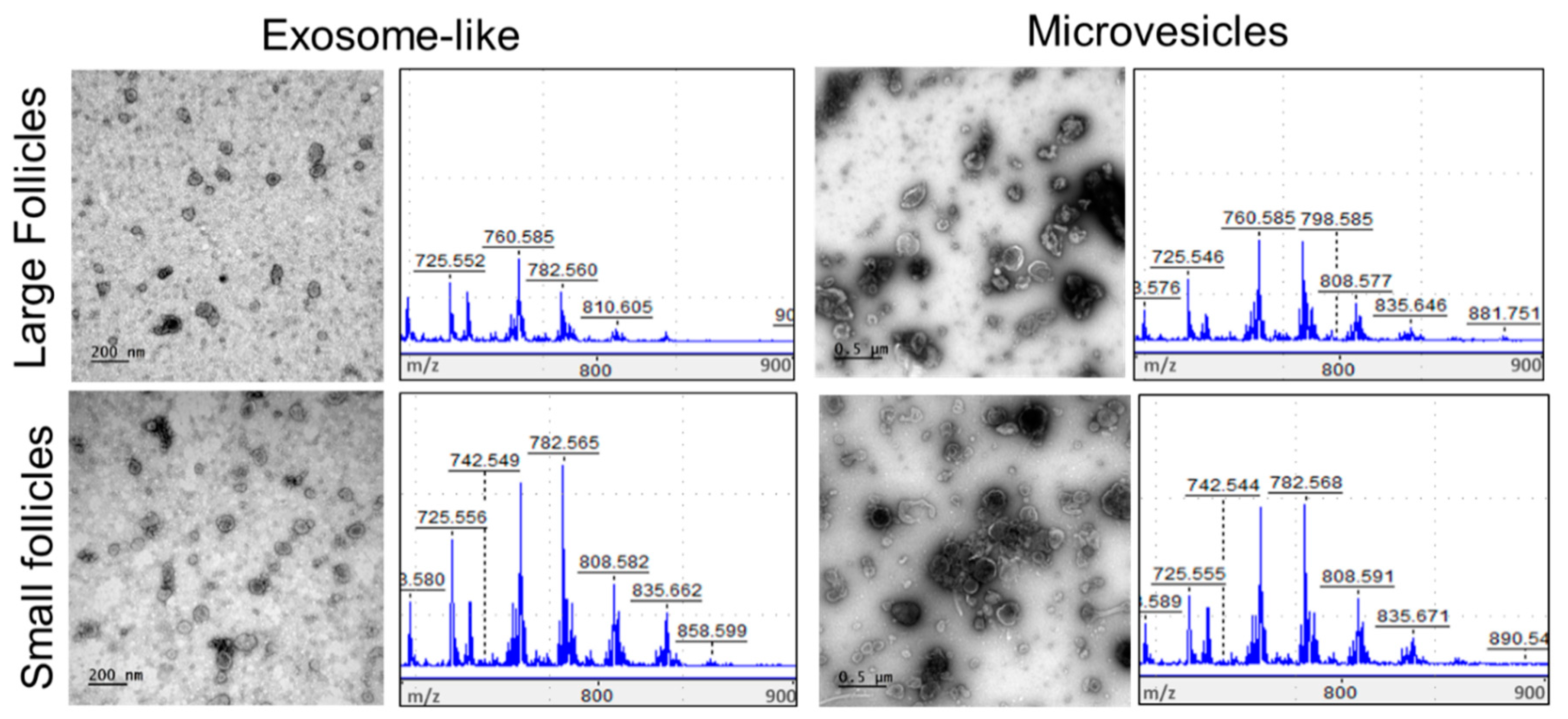 Metabolites 13 01001 g008