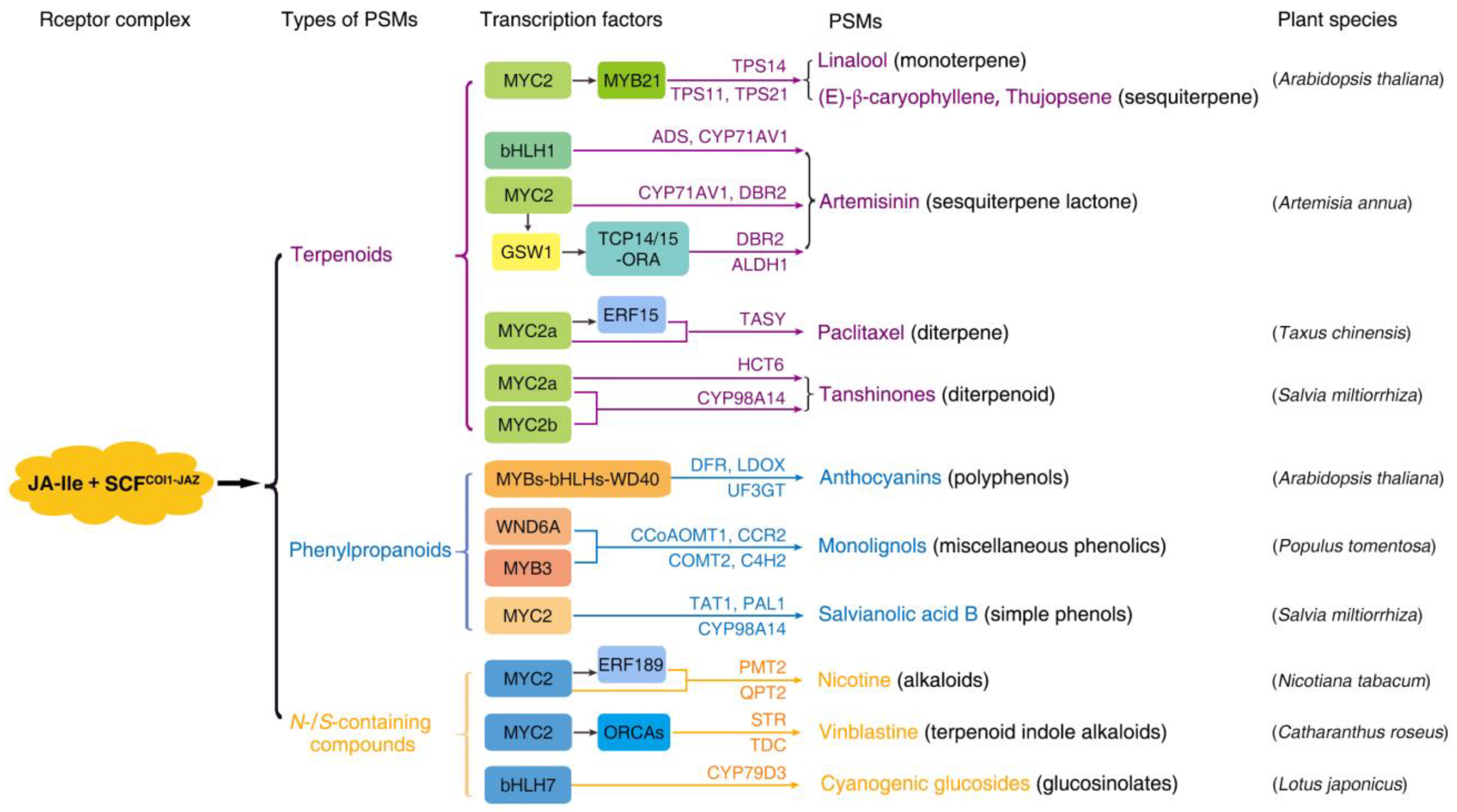 Metabolites 13 01008 g001