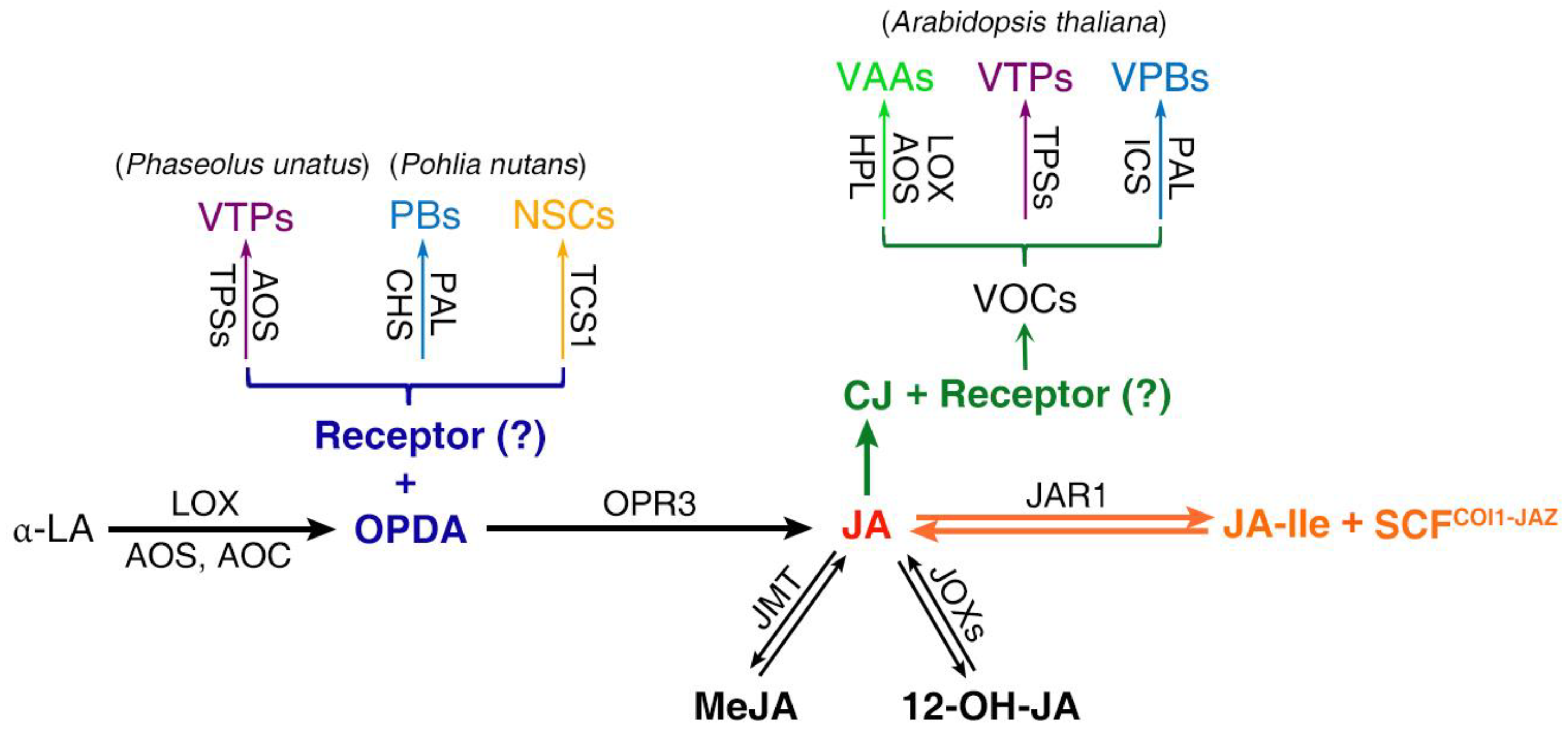 Metabolites 13 01008 g002
