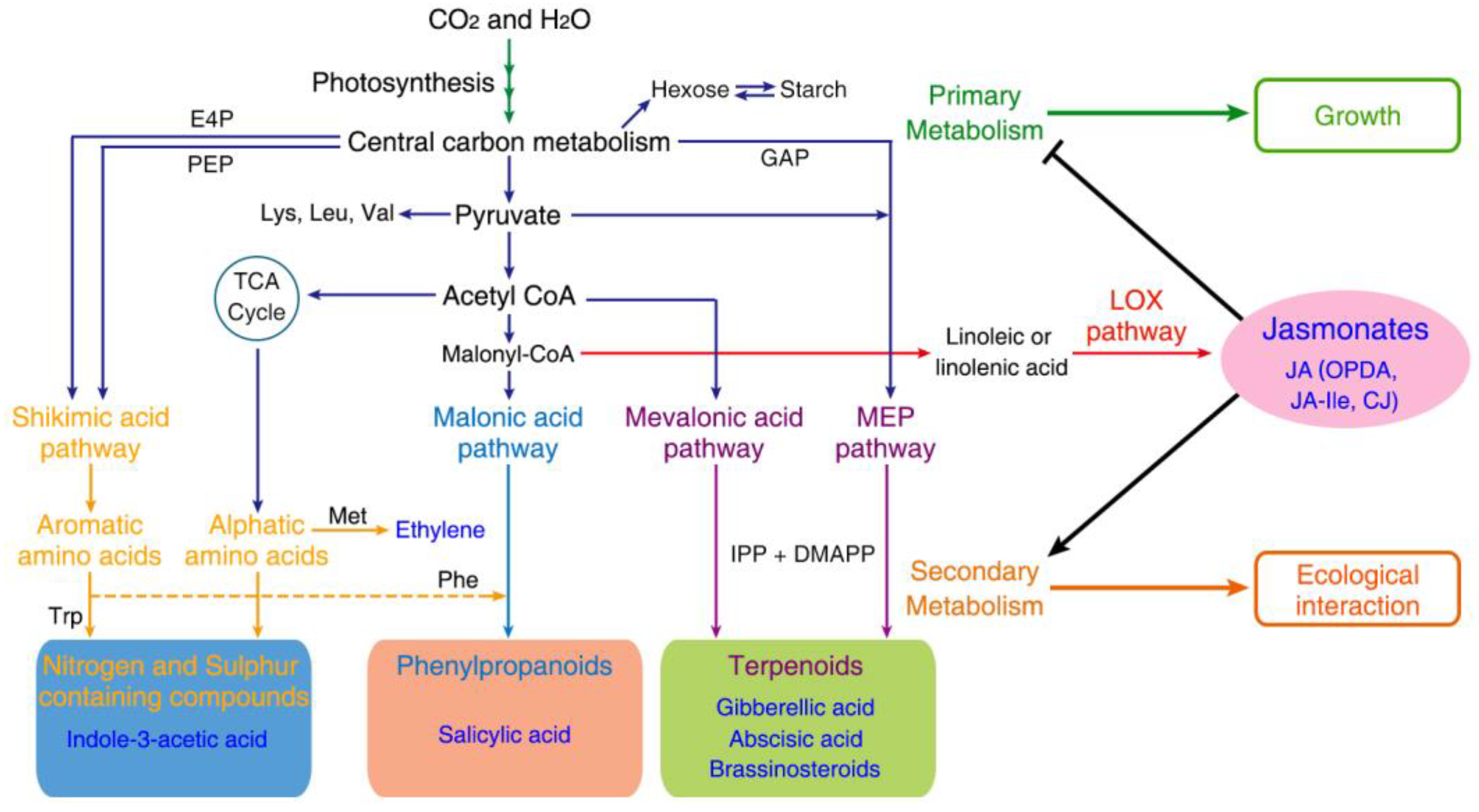 Metabolites 13 01008 g003
