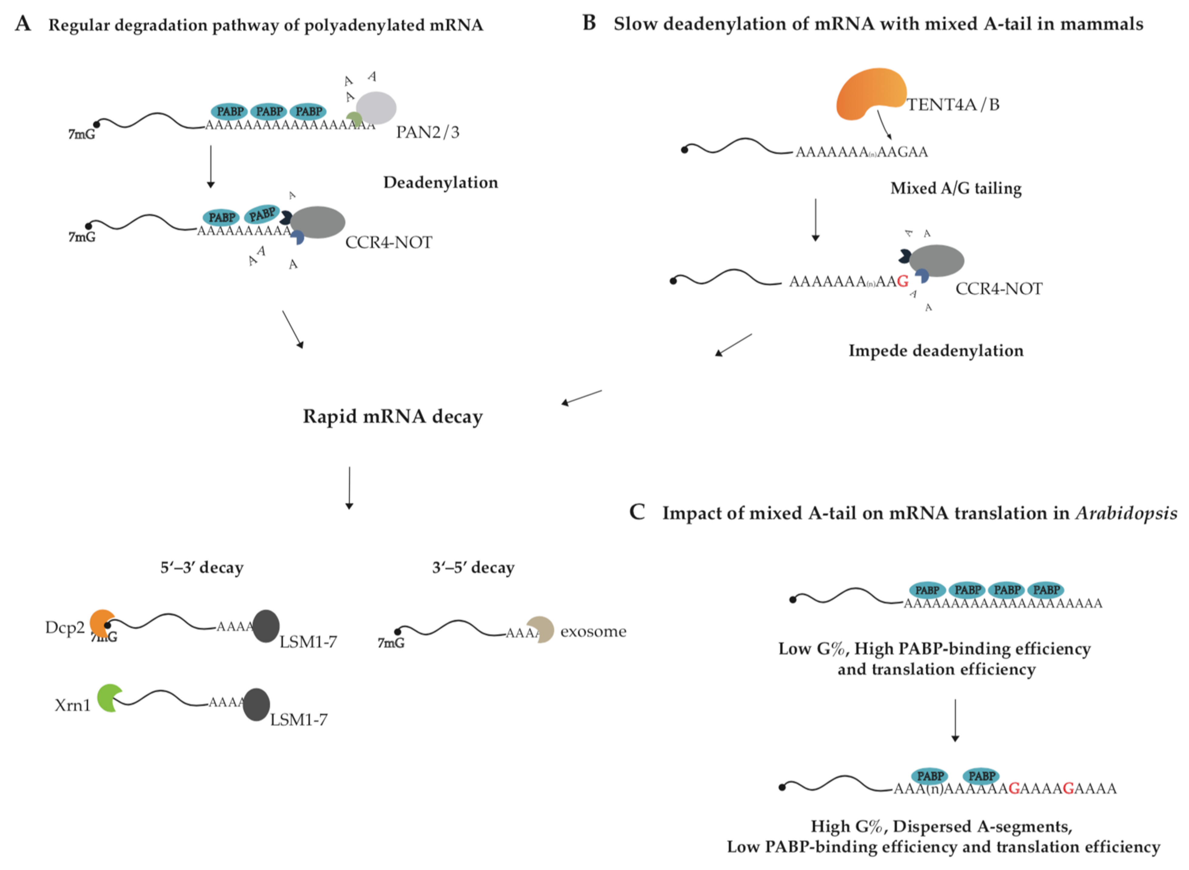 Metabolites 13 01009 g001