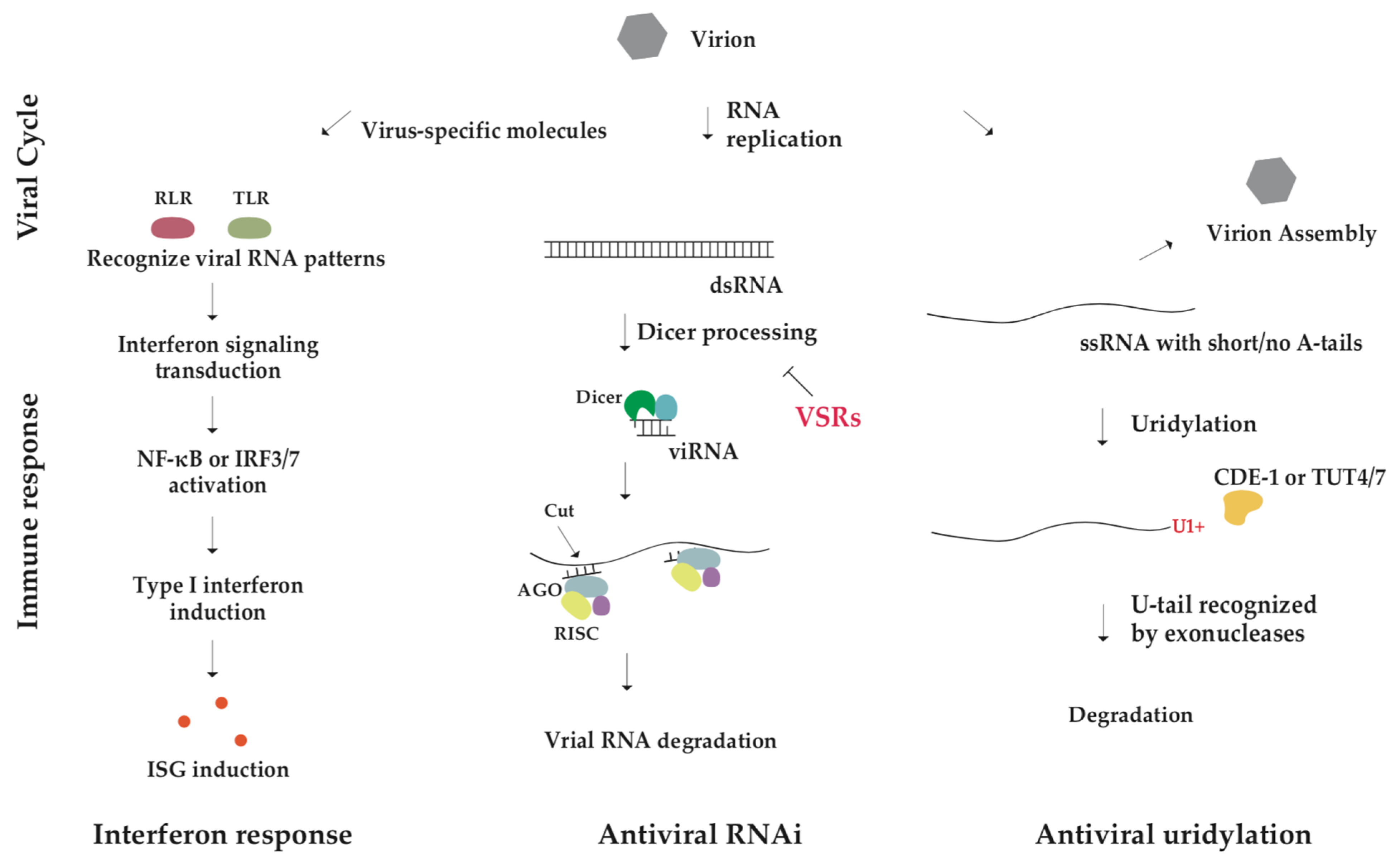 Metabolites 13 01009 g003