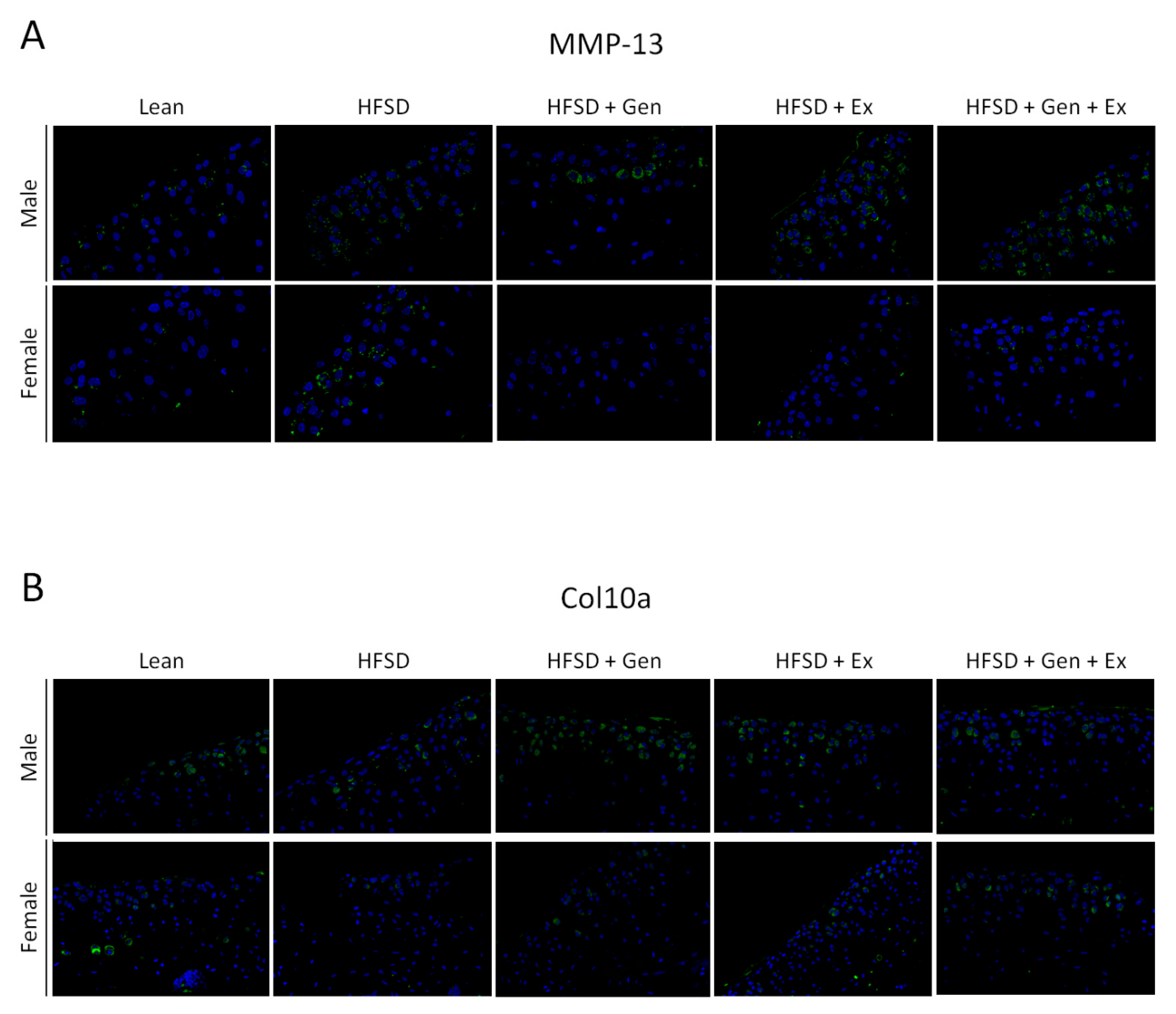 Metabolites 13 01014 g002