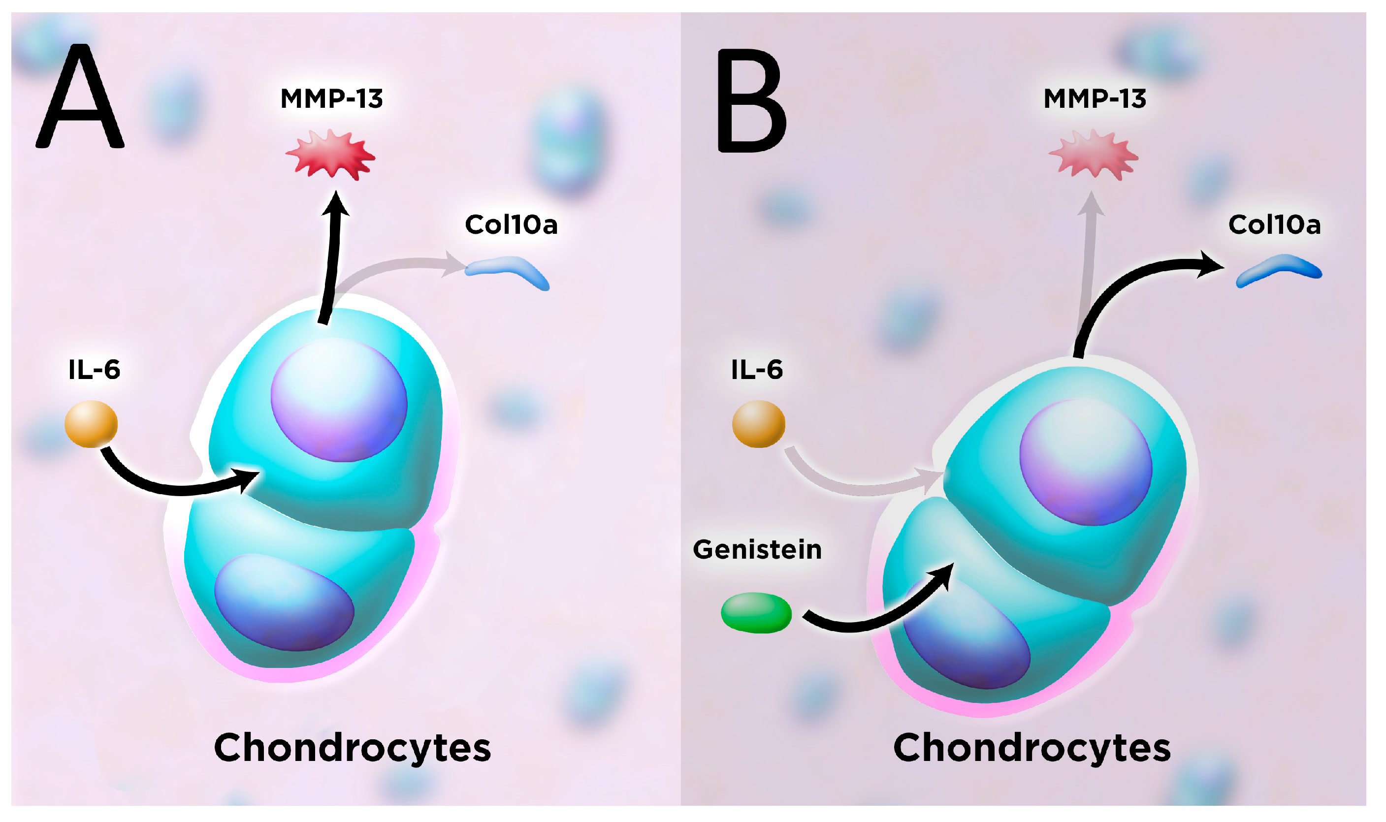 Metabolites 13 01014 g004