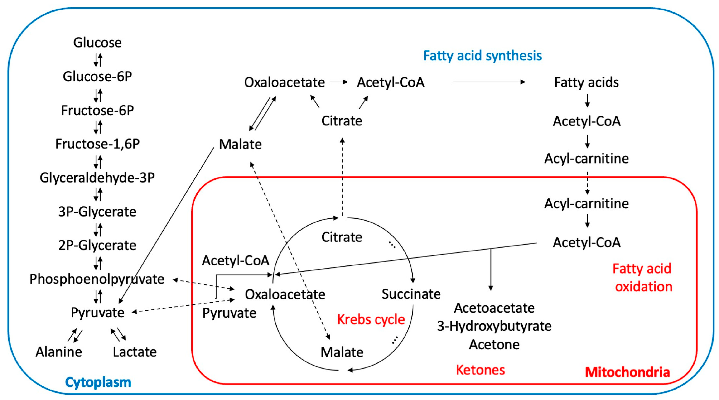 Metabolites 13 01016 g001