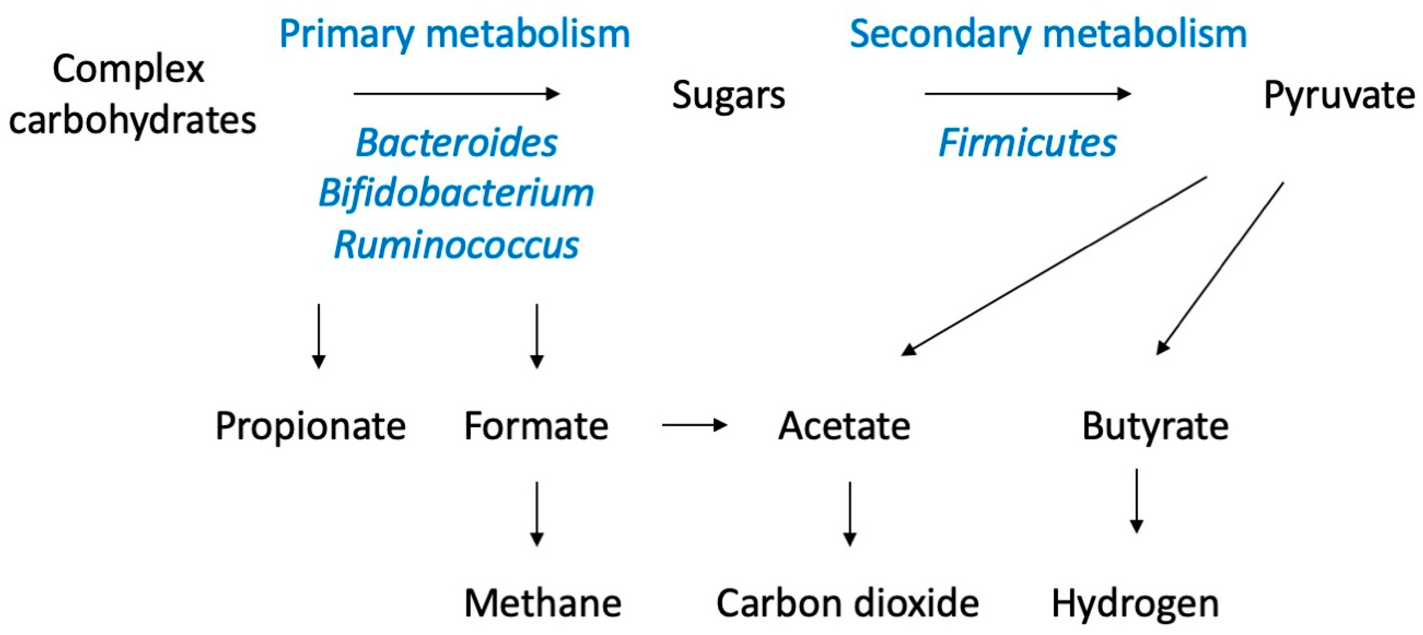 Metabolites 13 01016 g002