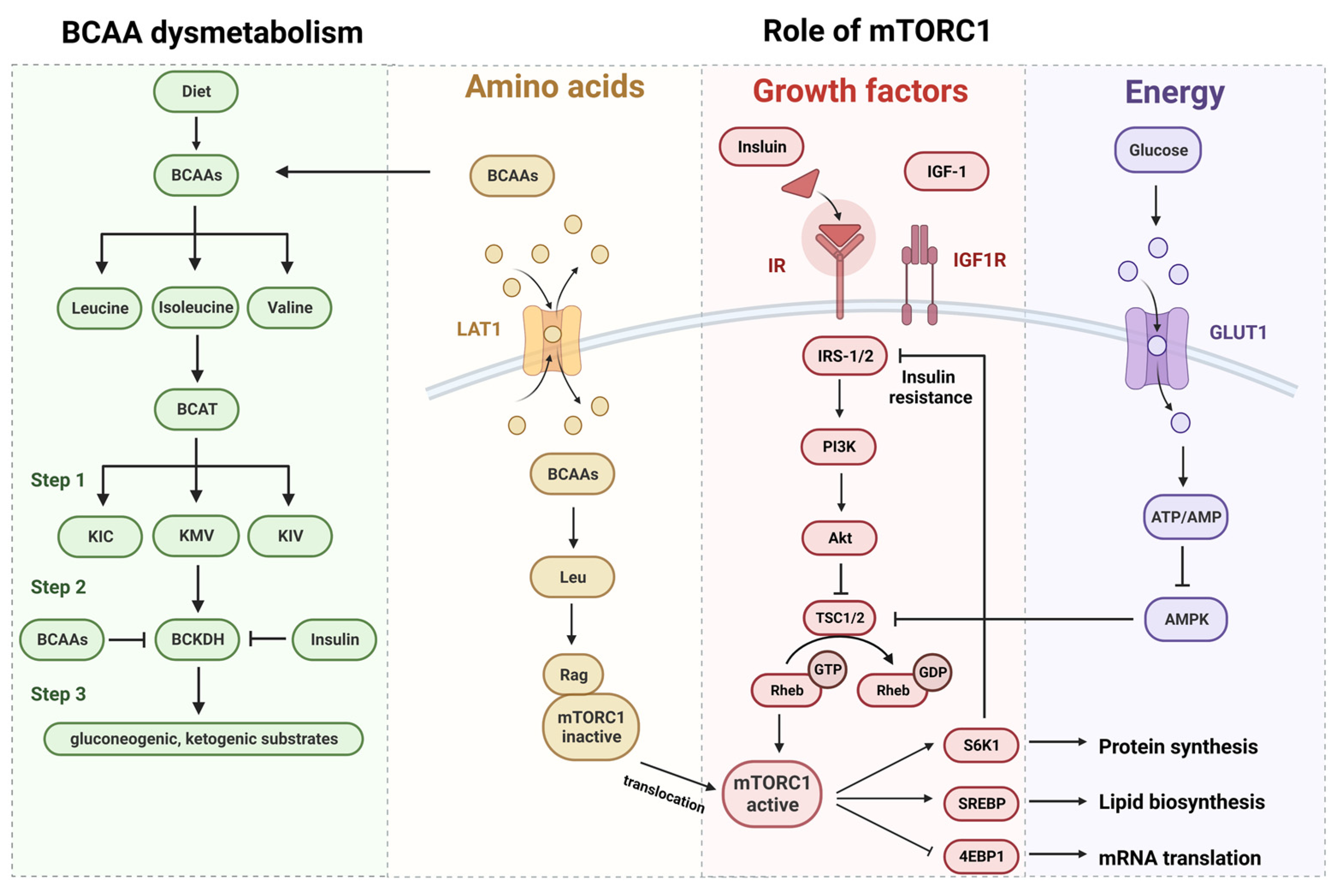 Metabolites 13 01017 g001