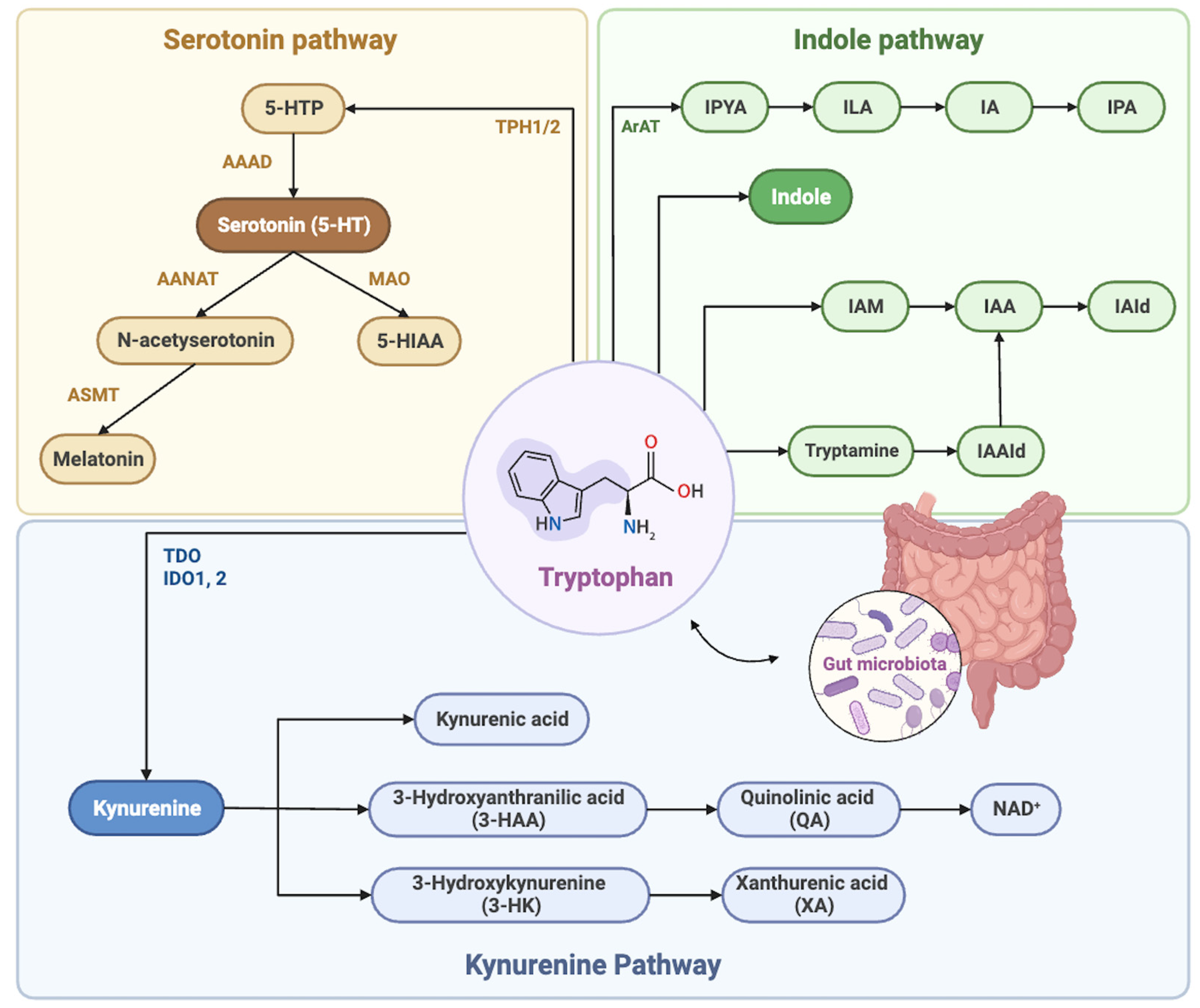 Metabolites 13 01017 g002