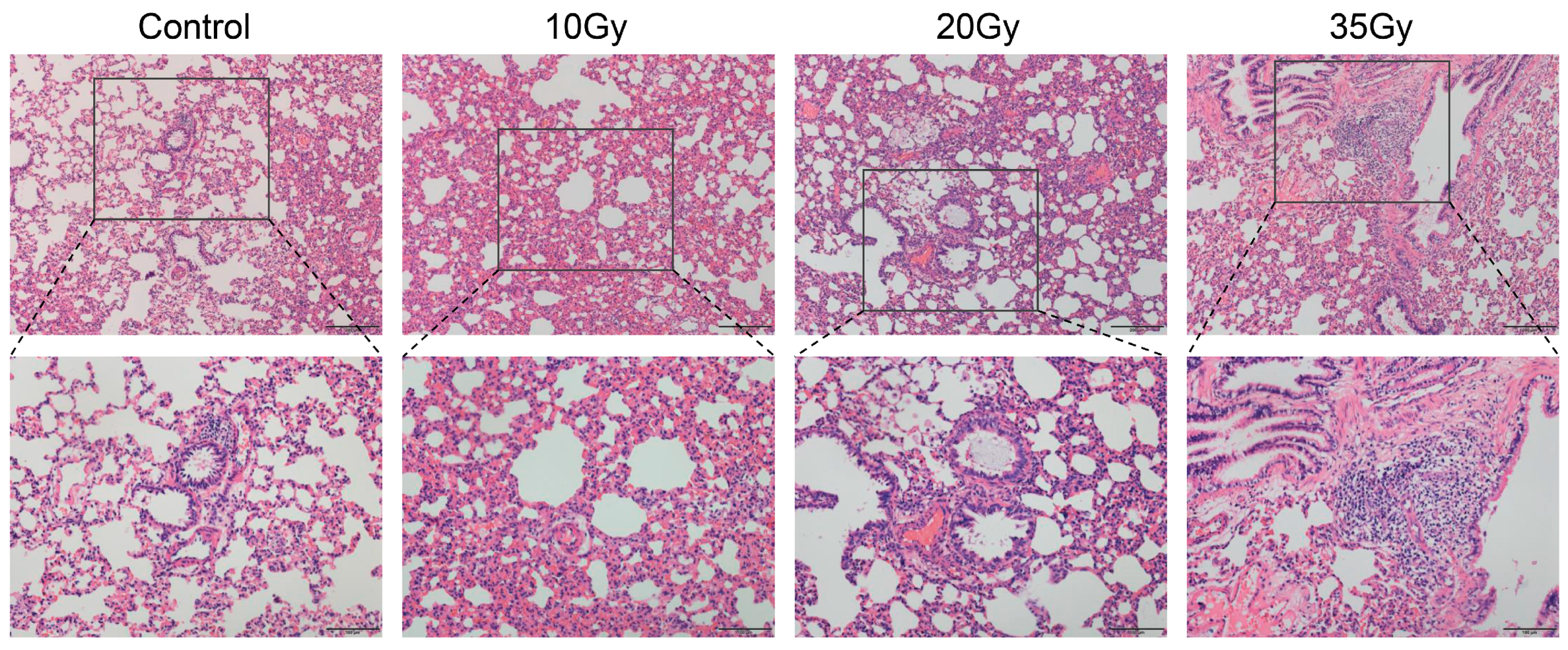 Metabolites 13 01020 g001