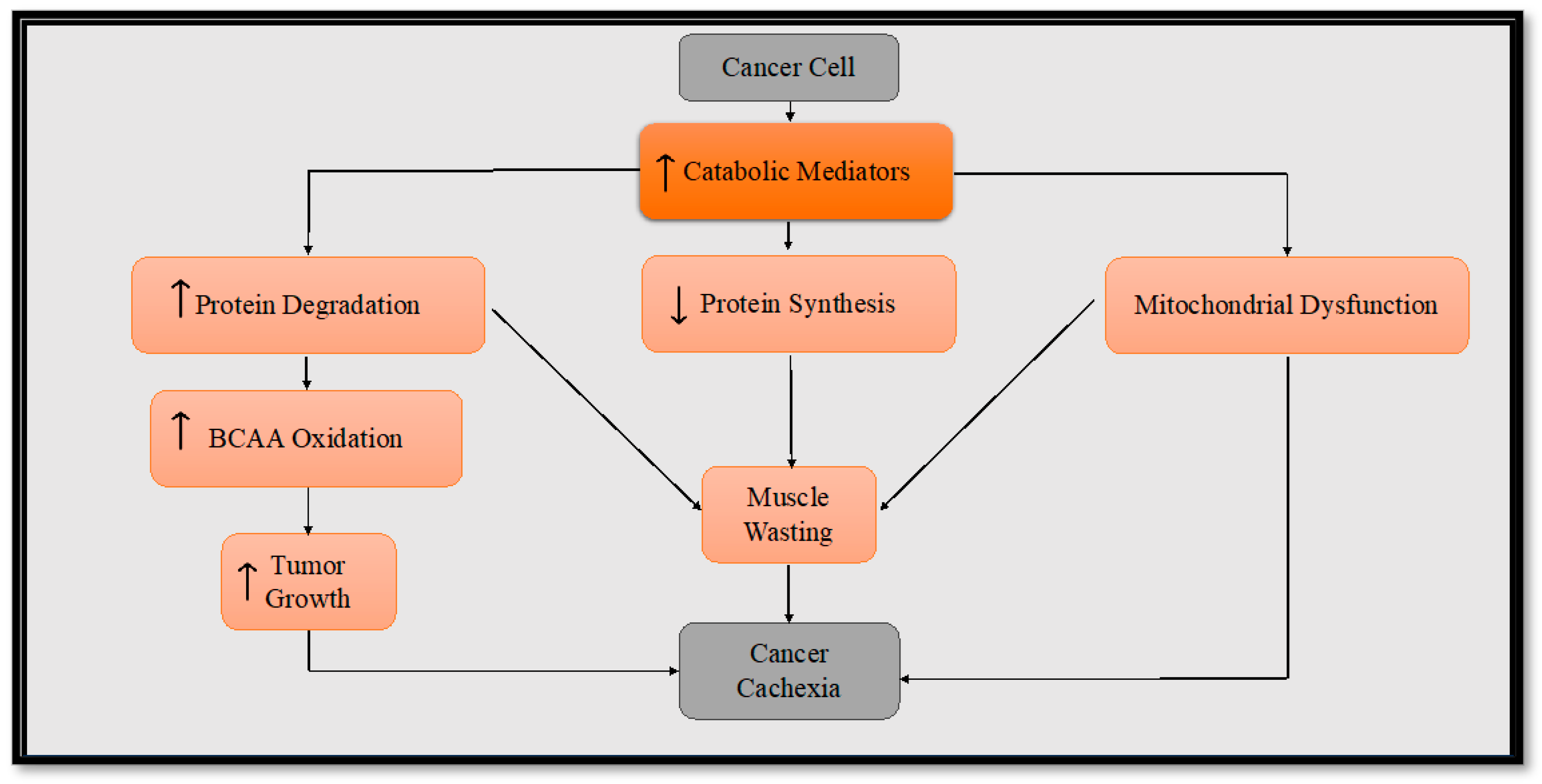 Metabolites 13 01024 g001