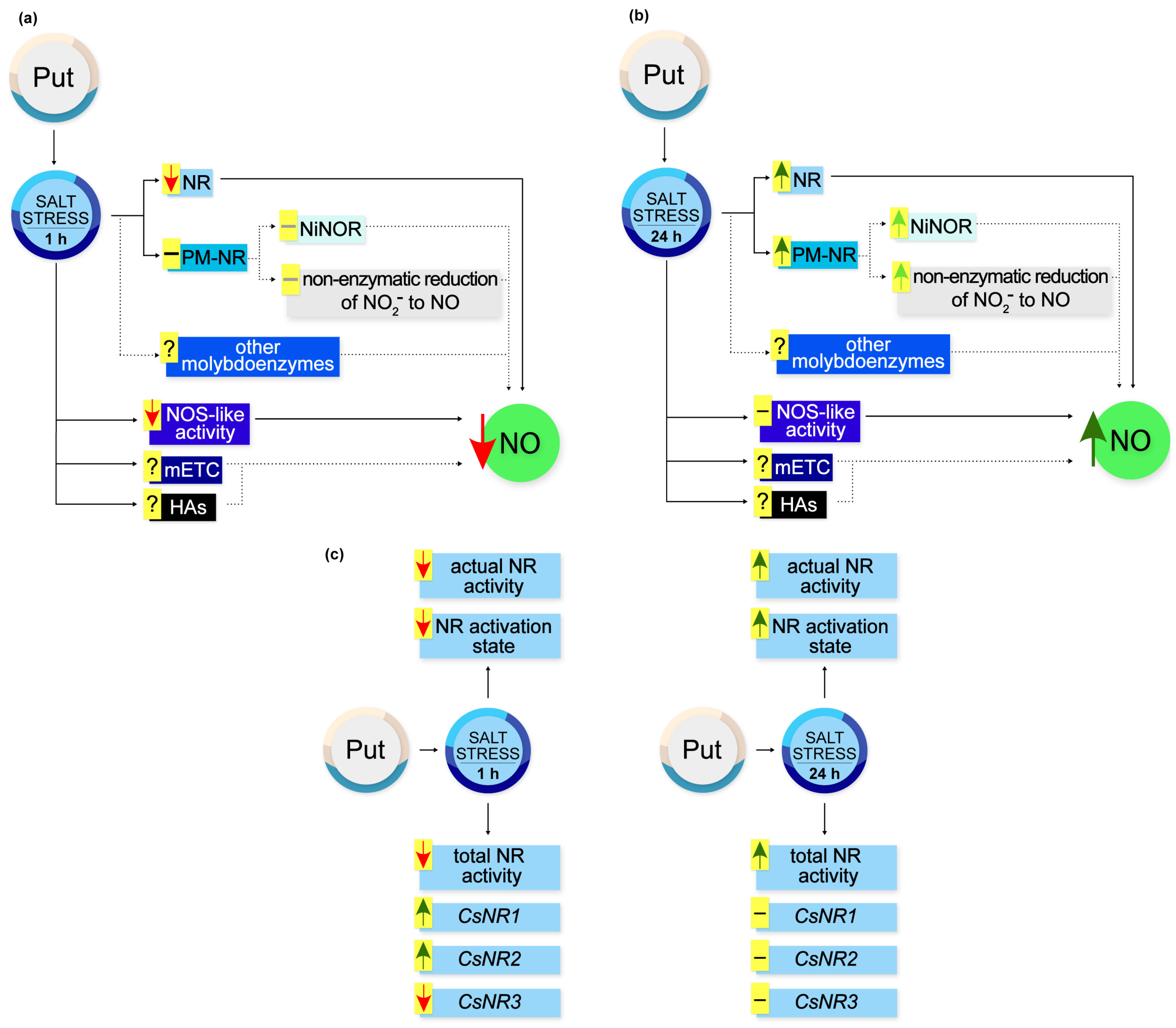 Metabolites 13 01030 g009