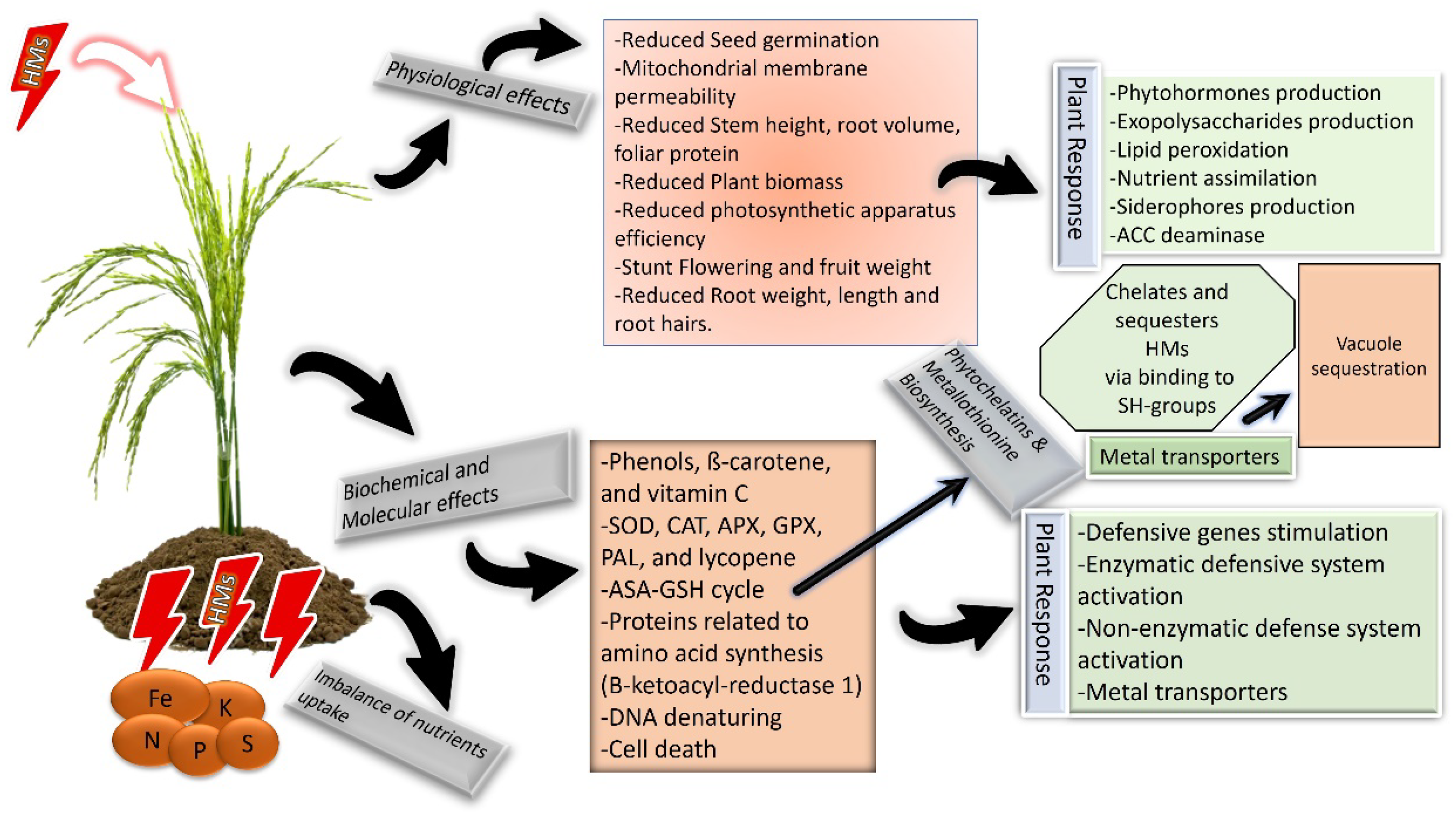 Metabolites 13 01036 g001