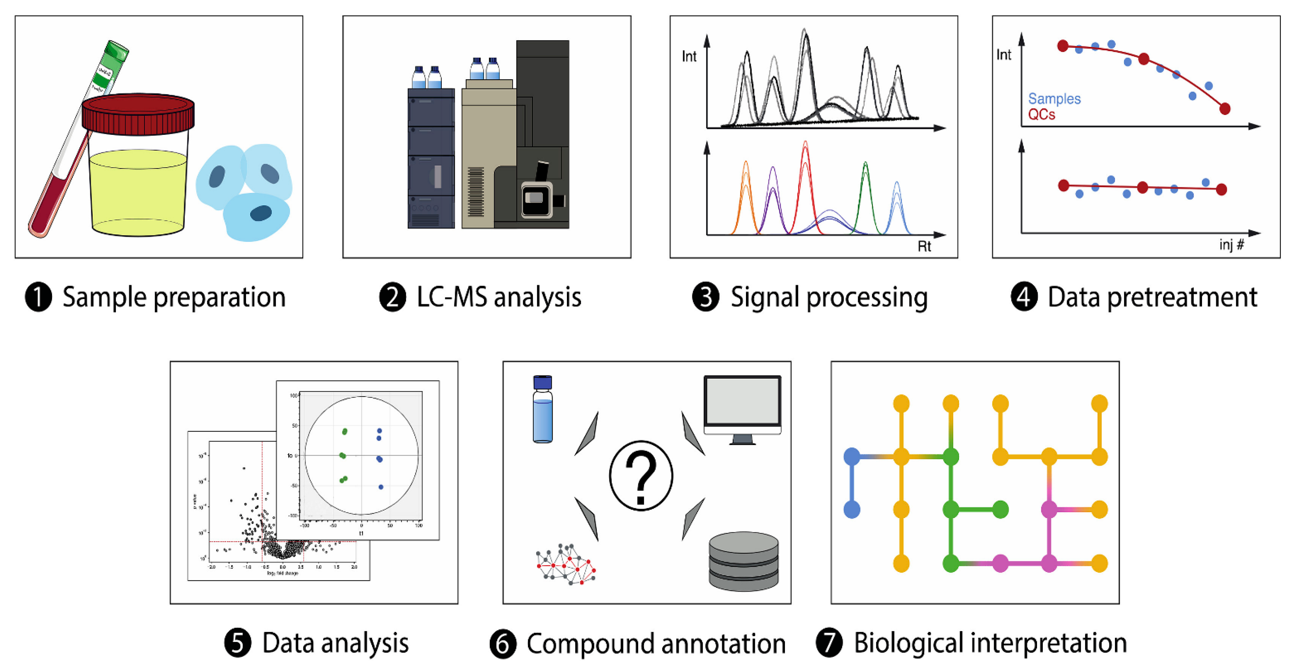 Metabolites 13 01037 g002