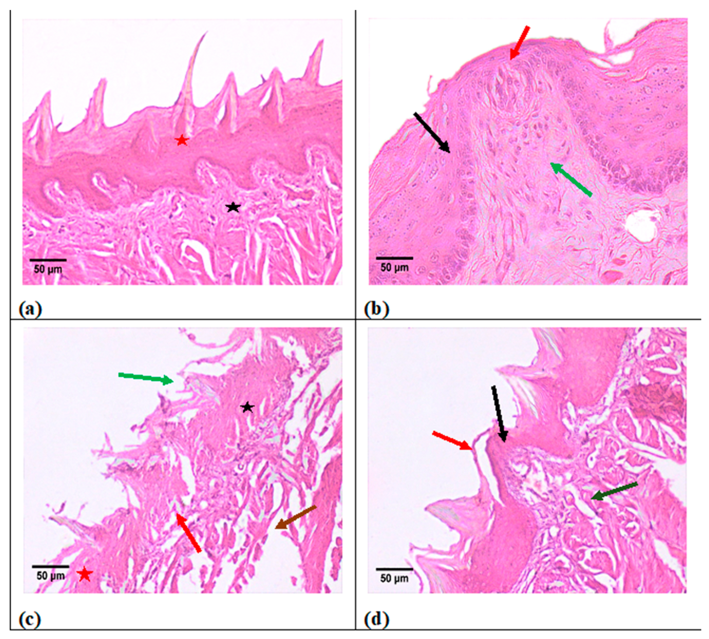 Metabolites 13 01044 g006