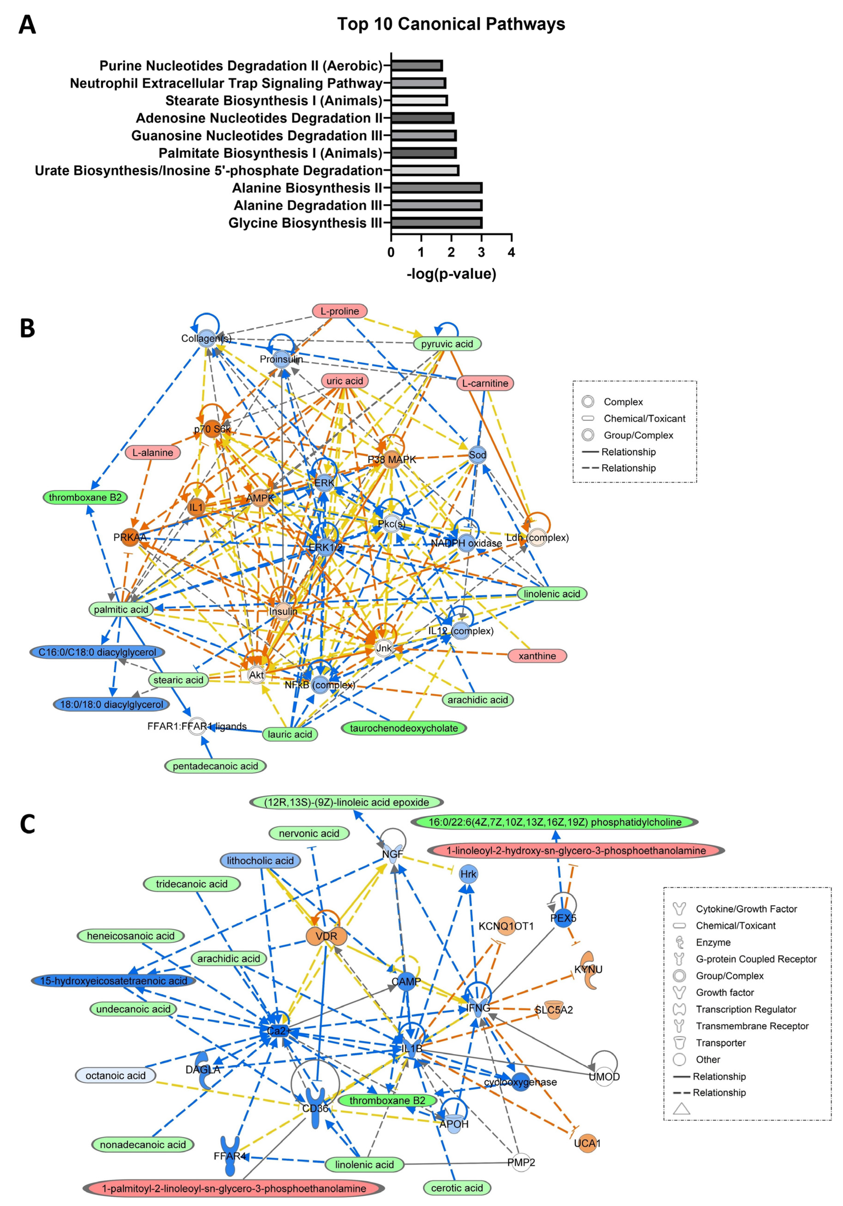 Metabolites 13 01047 g006 Metabolites 13 01047 g006