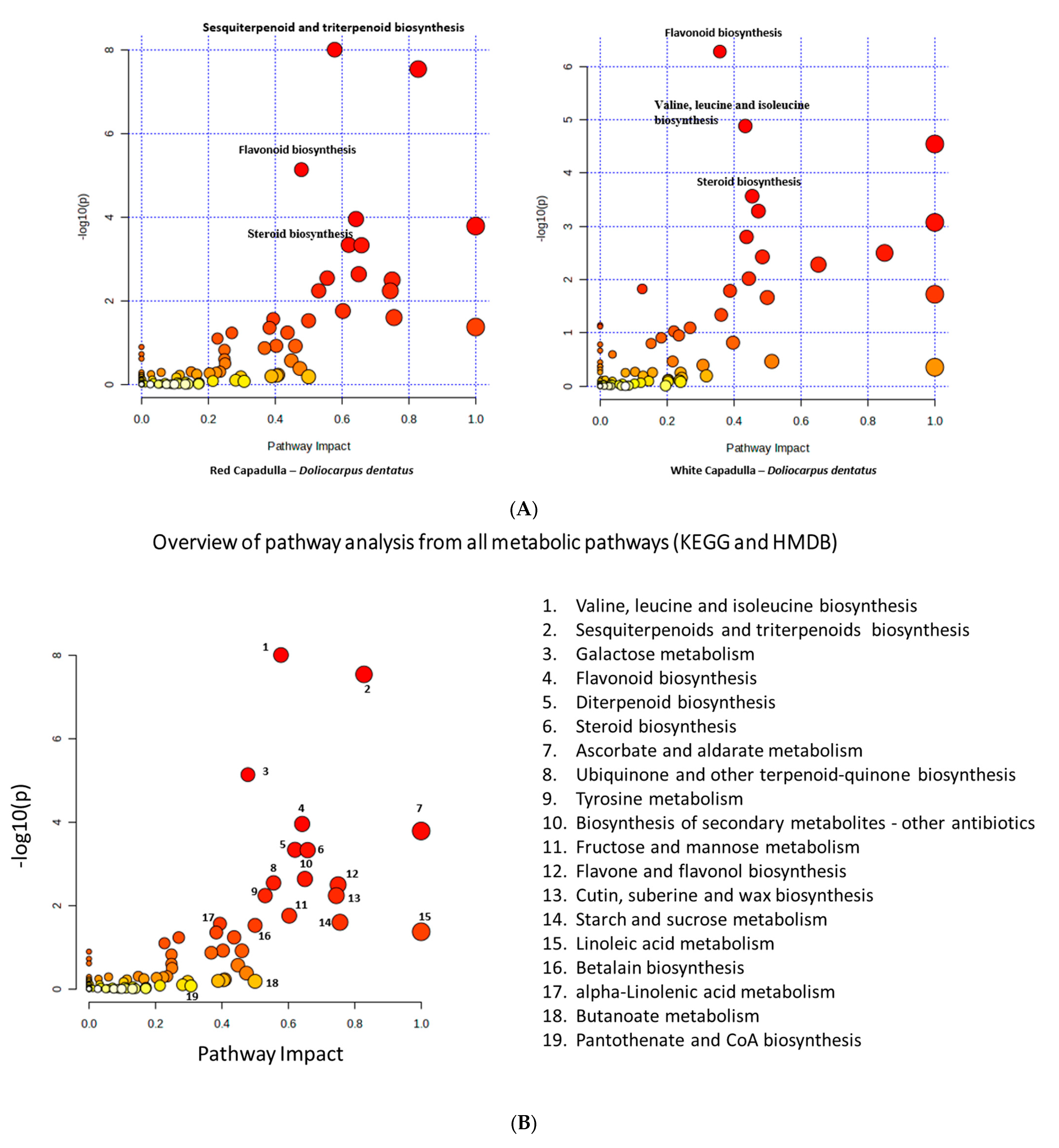 Metabolites 13 01050 g005 Metabolites 13 01050 g005