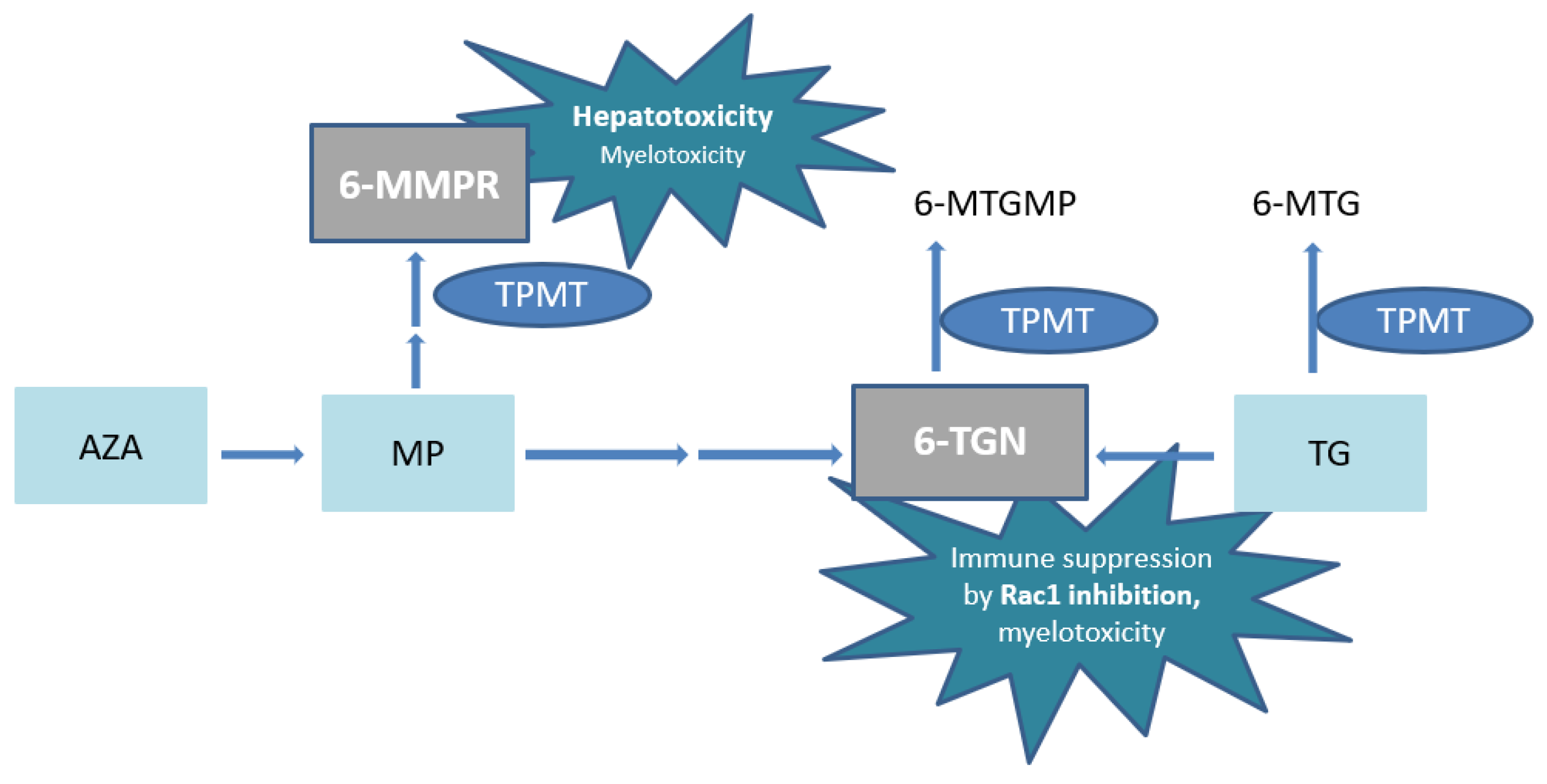 Metabolites 13 01054 g001