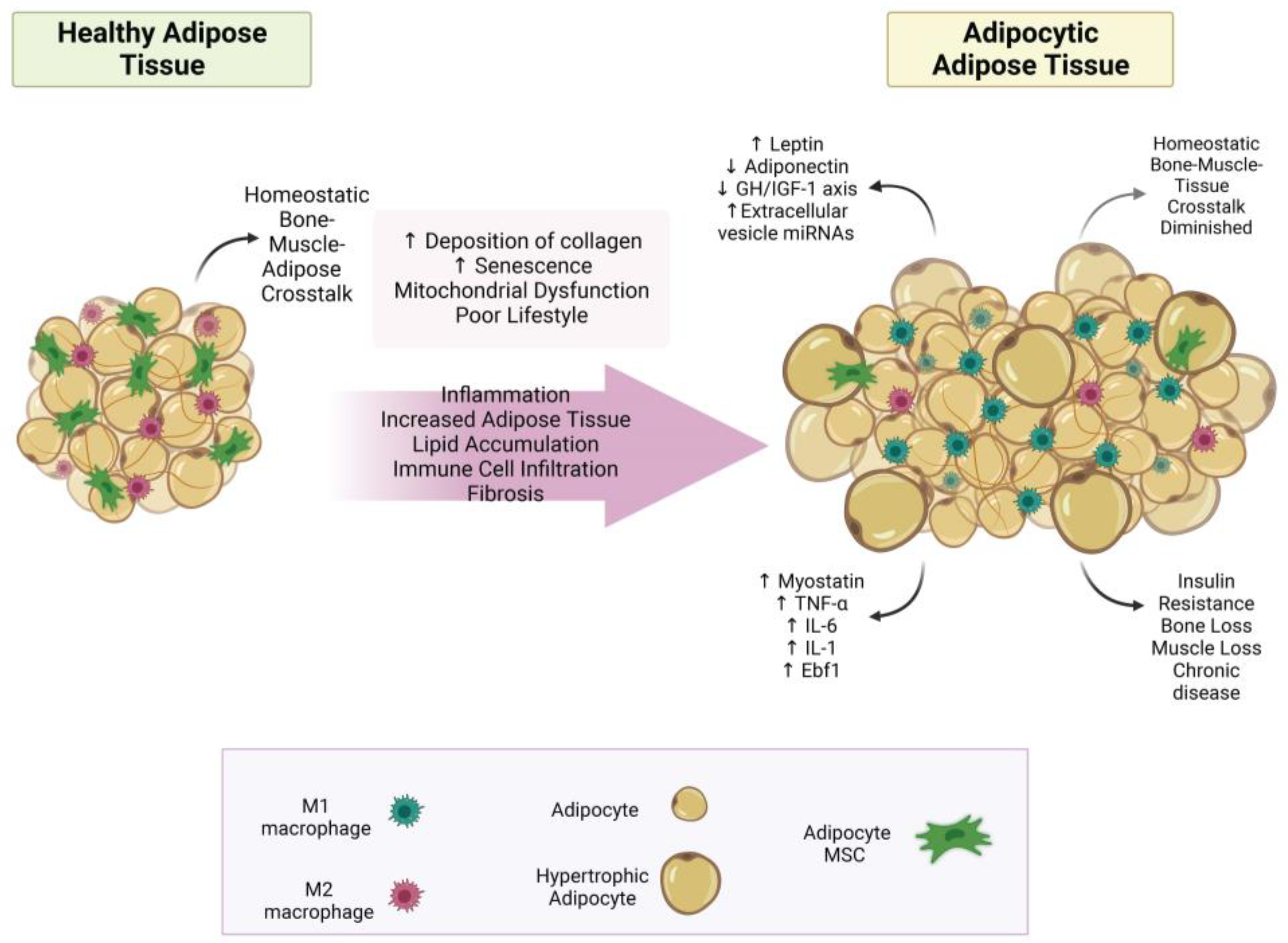 Metabolites 13 01056 g001