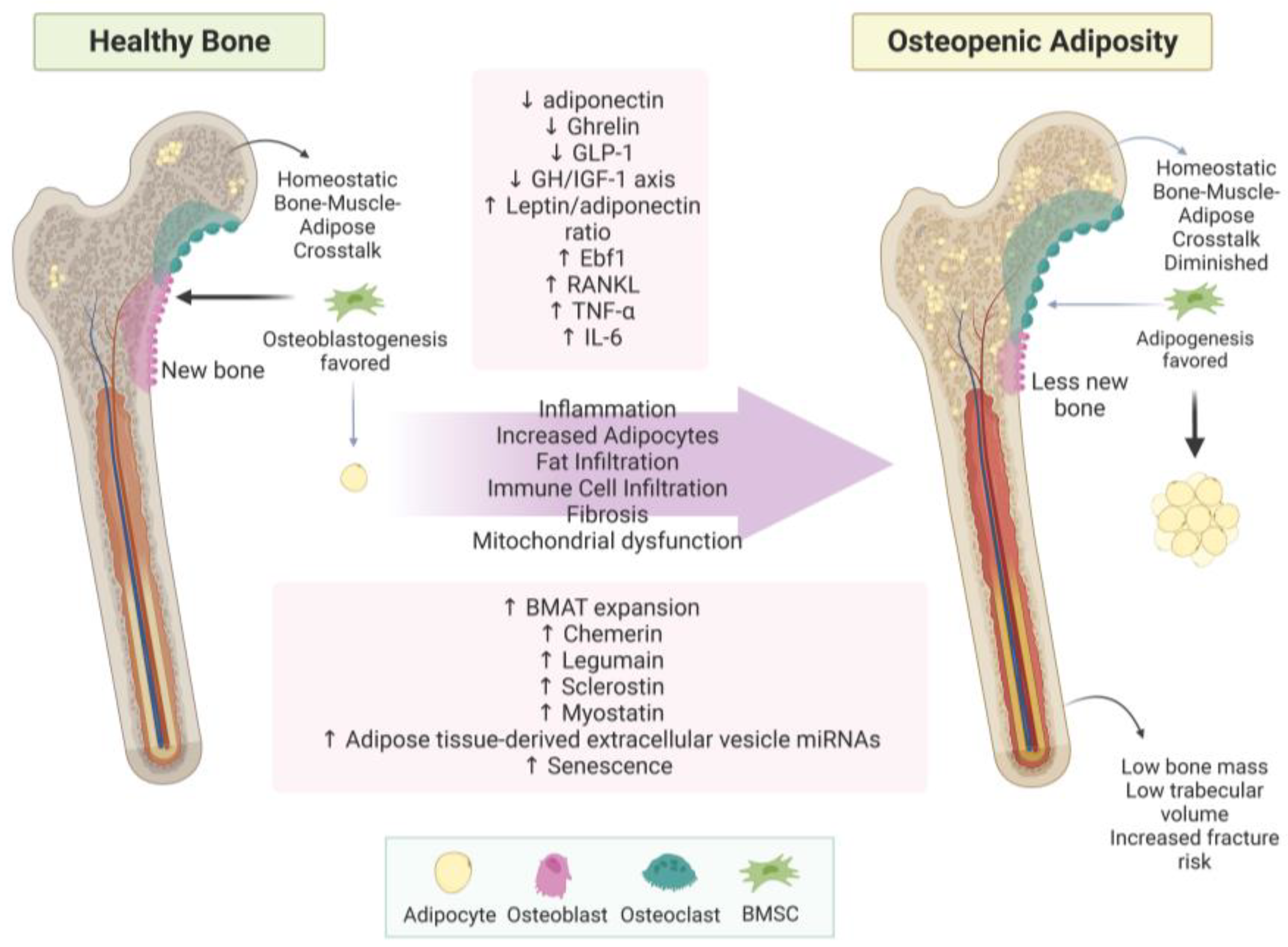 Metabolites 13 01056 g002