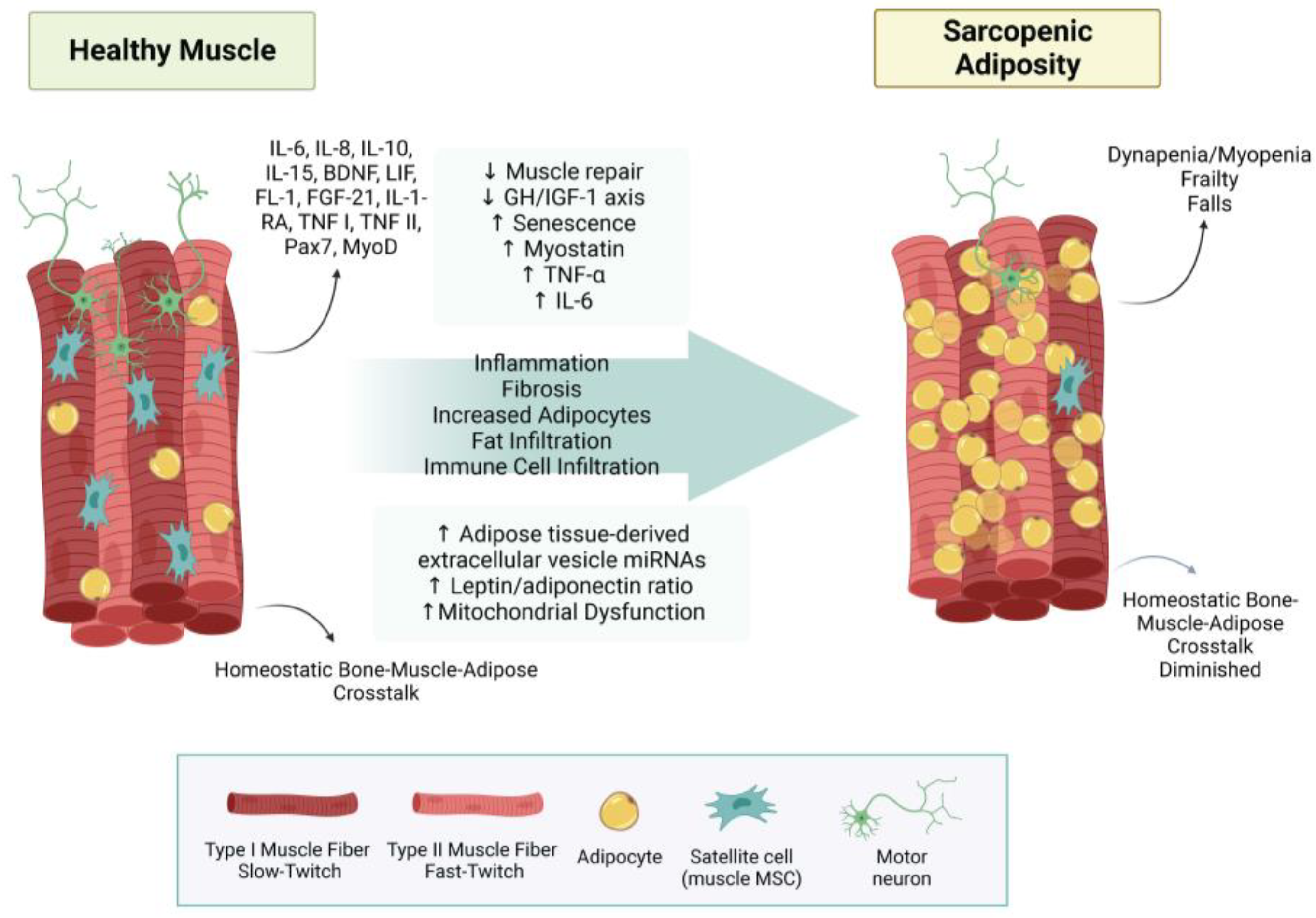 Metabolites 13 01056 g004