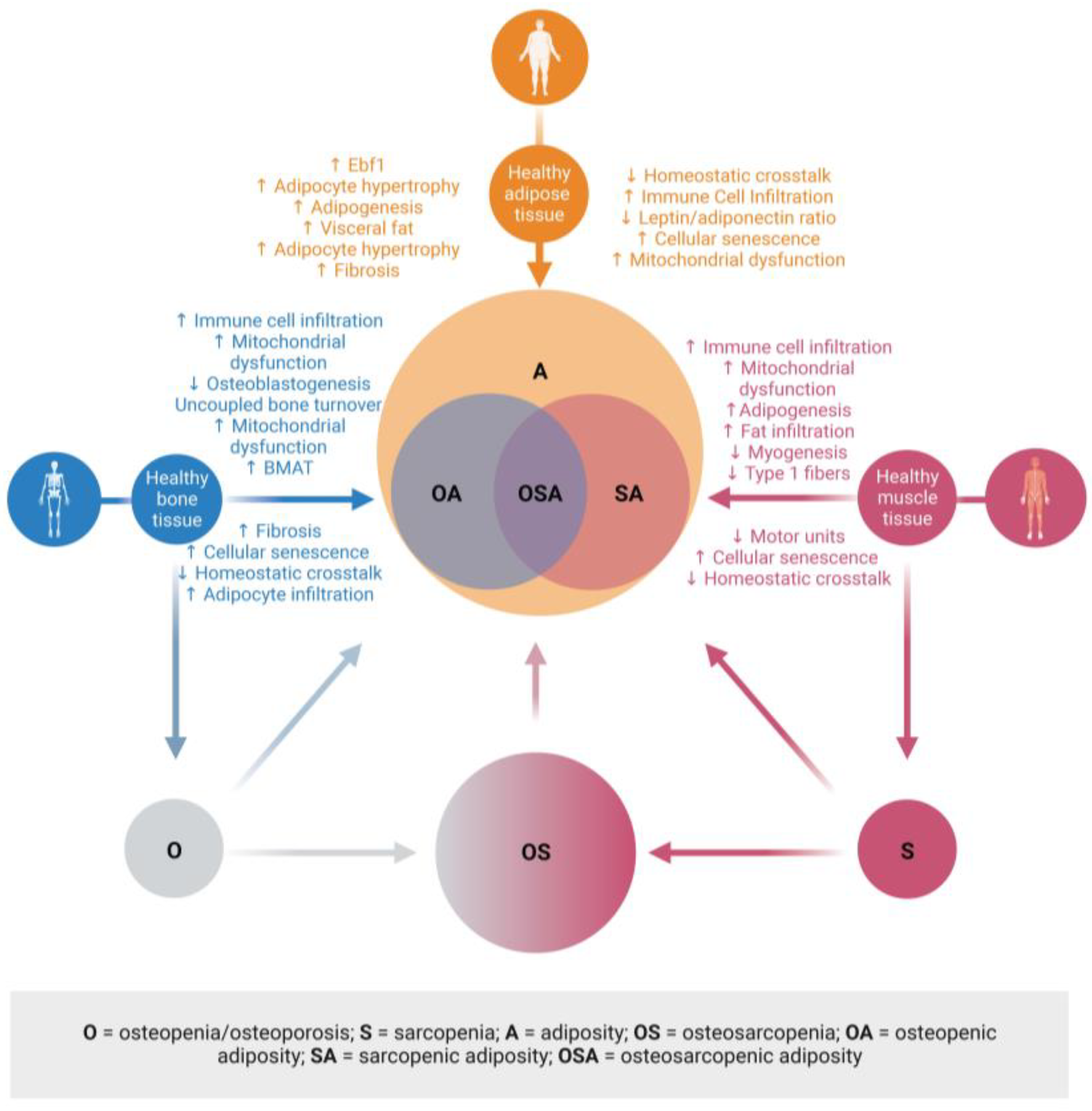 Metabolites 13 01056 g005