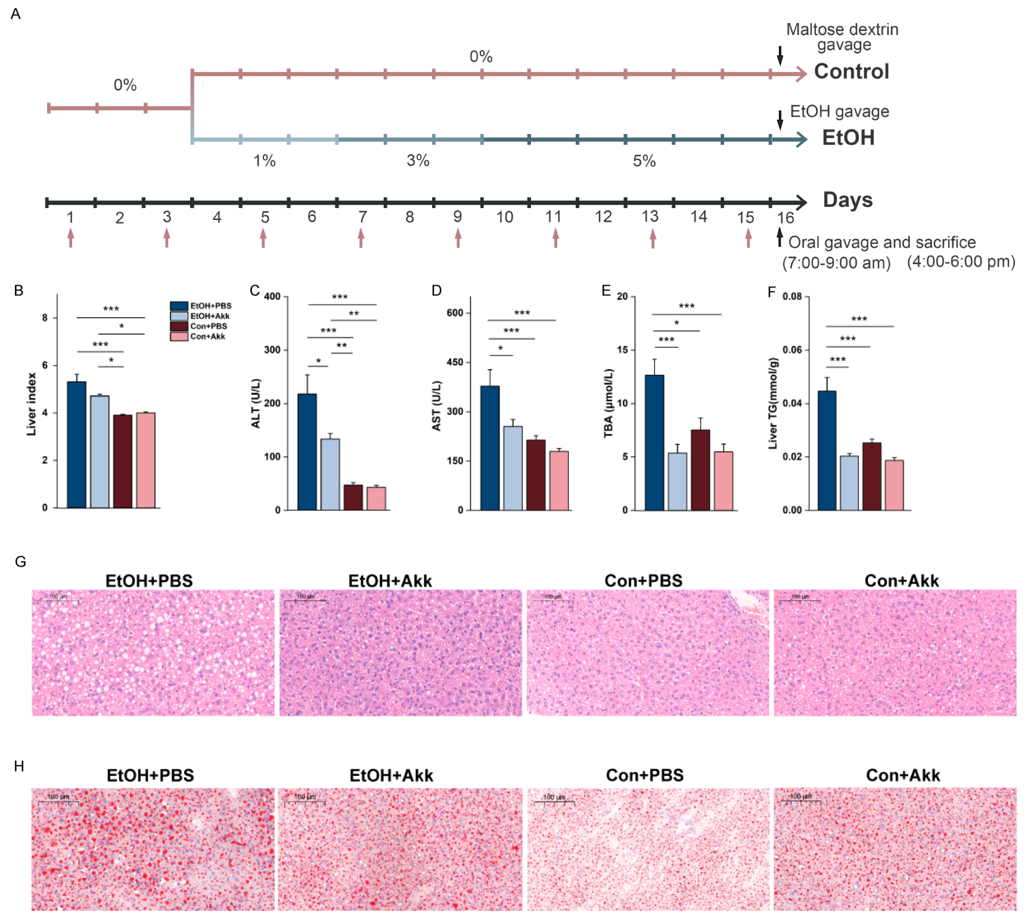 Metabolites 13 01057 g001