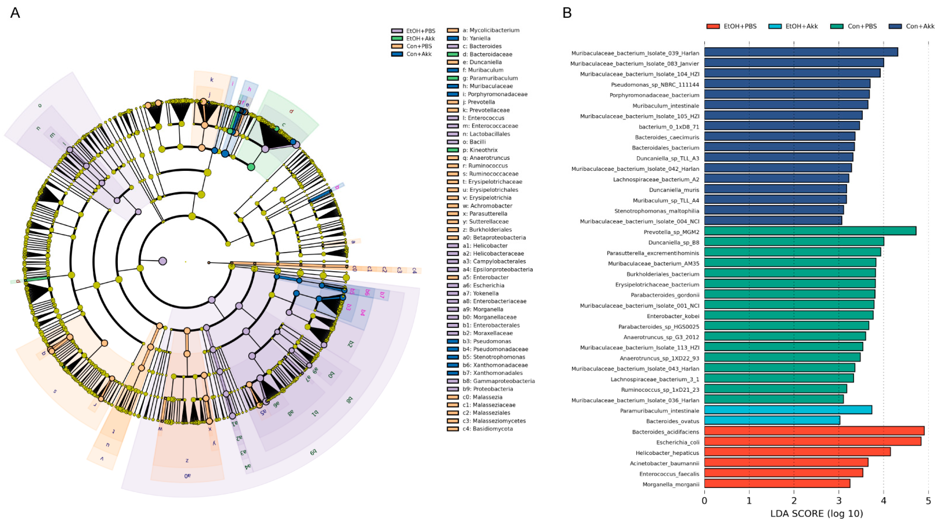 Metabolites 13 01057 g006