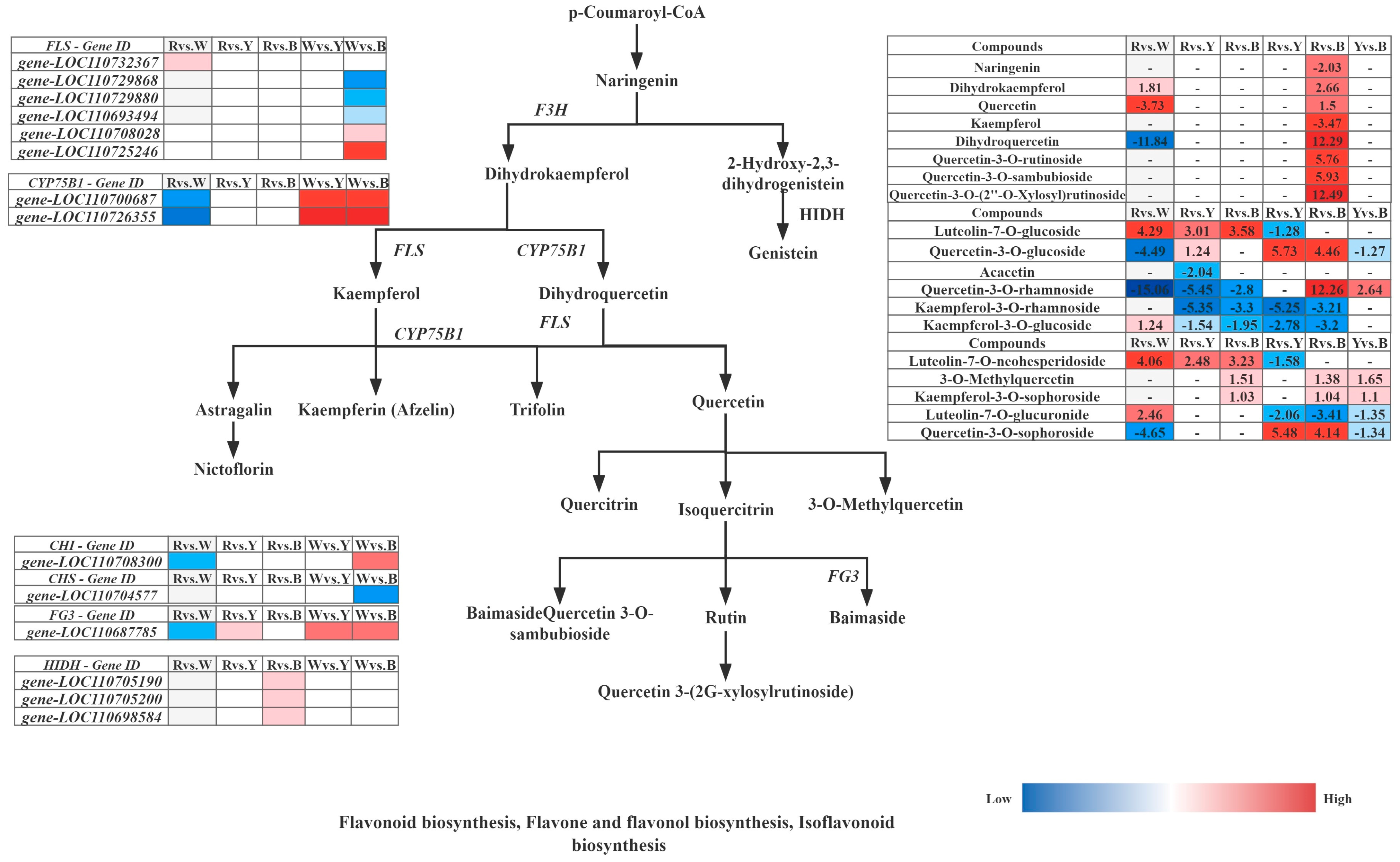 Metabolites 13 01065 g012