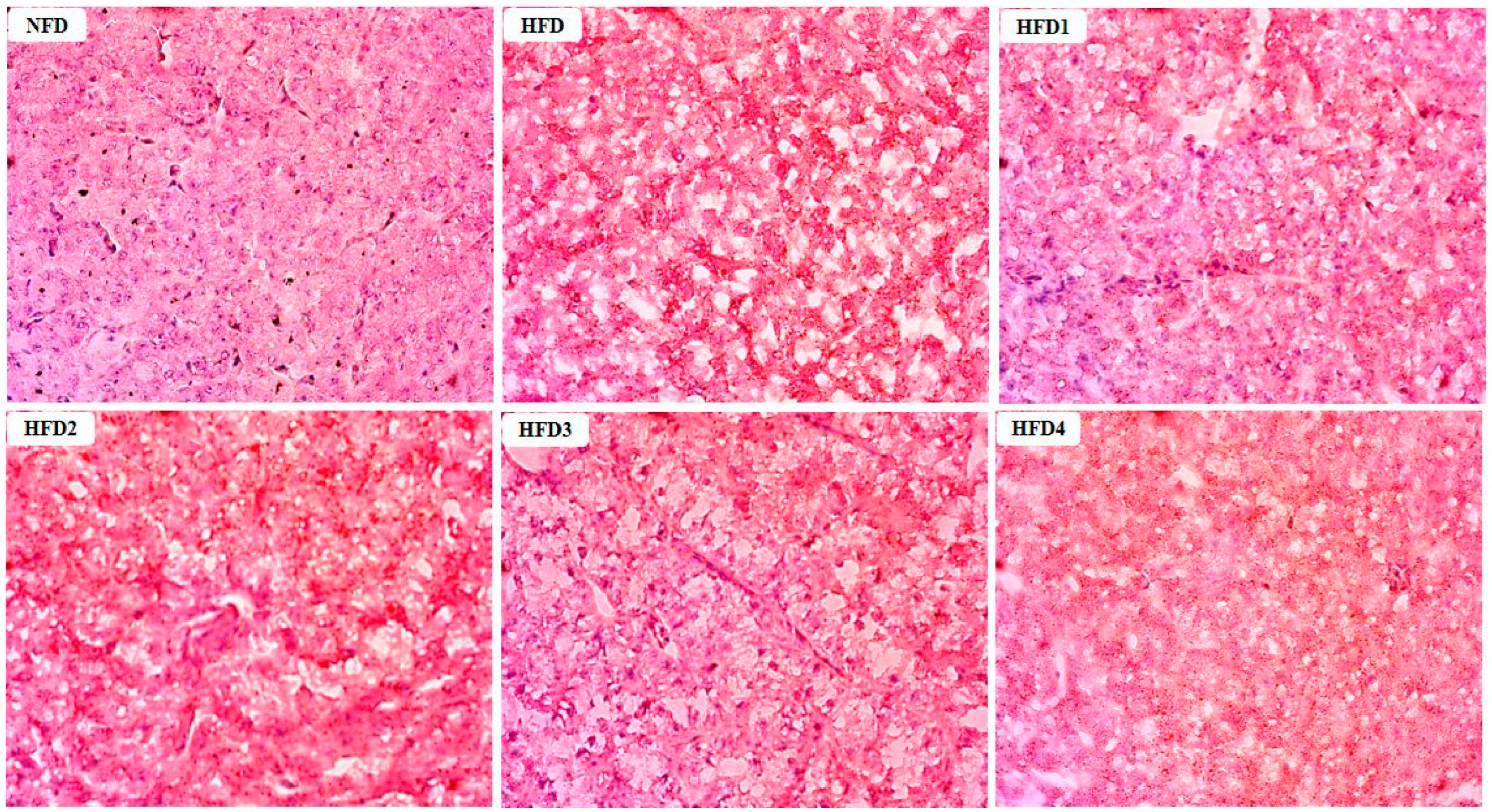 Metabolites 13 01067 g002