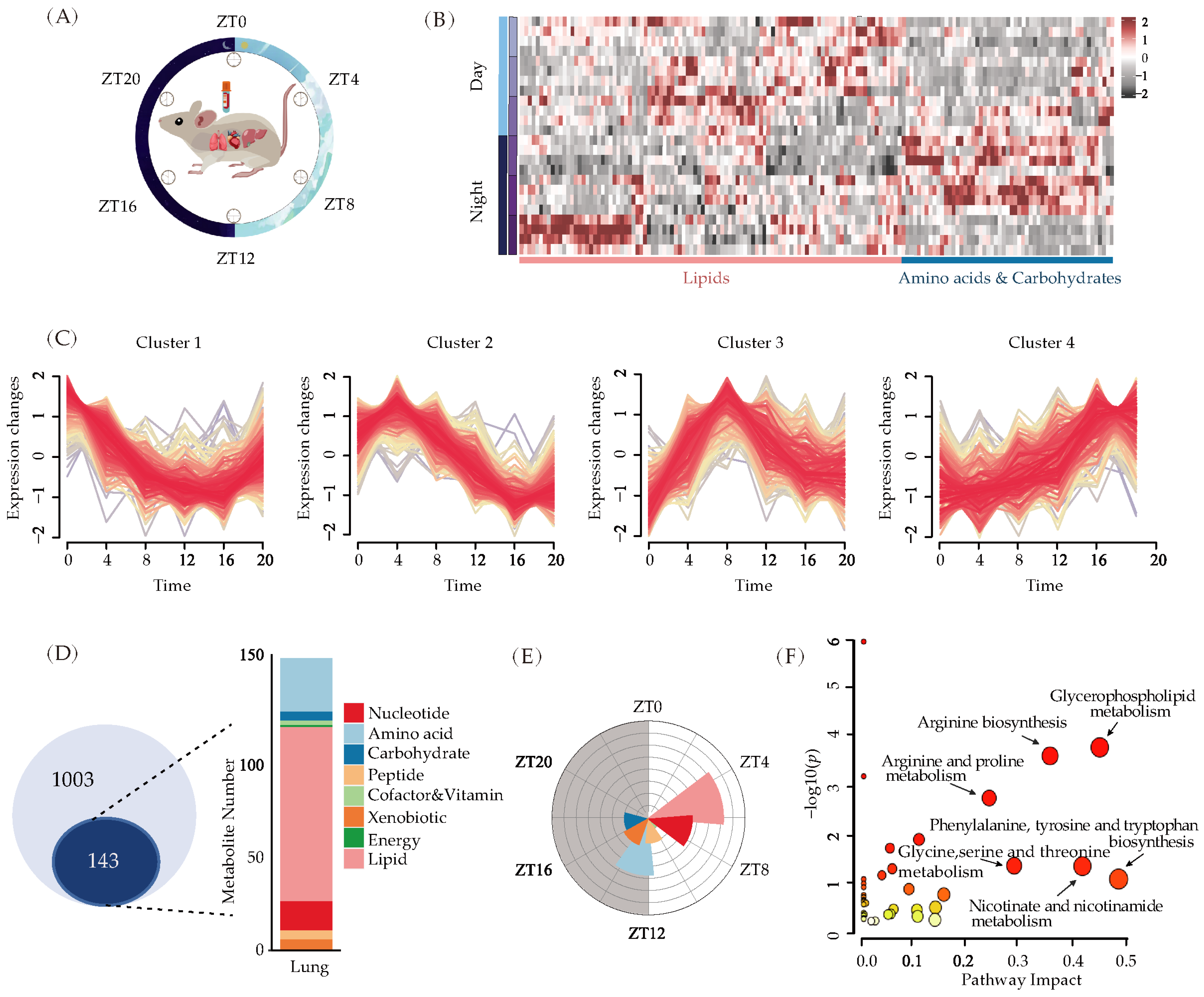 Metabolites 13 01069 g002 Metabolites 13 01069 g002