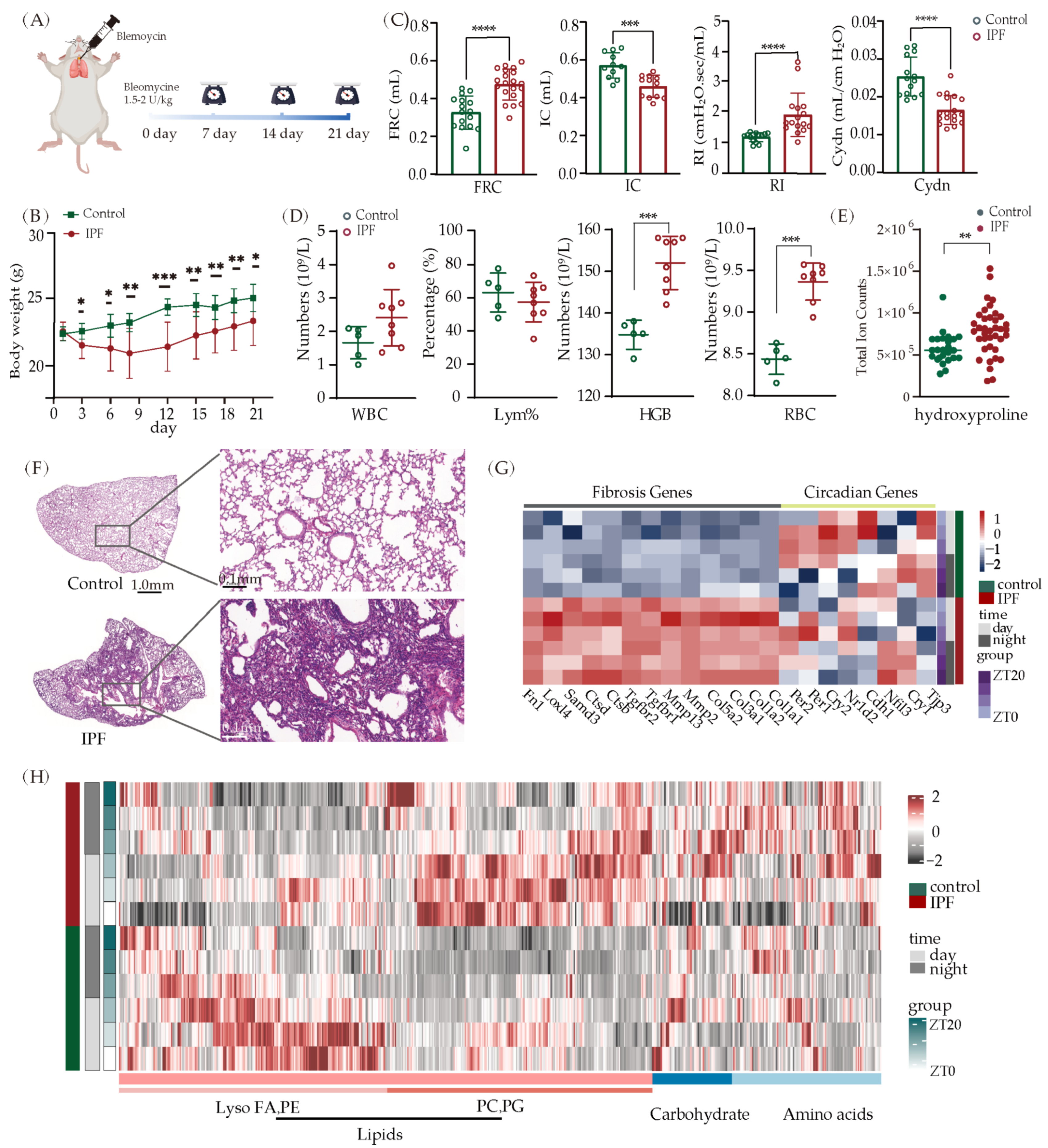 Metabolites 13 01069 g003 Metabolites 13 01069 g003