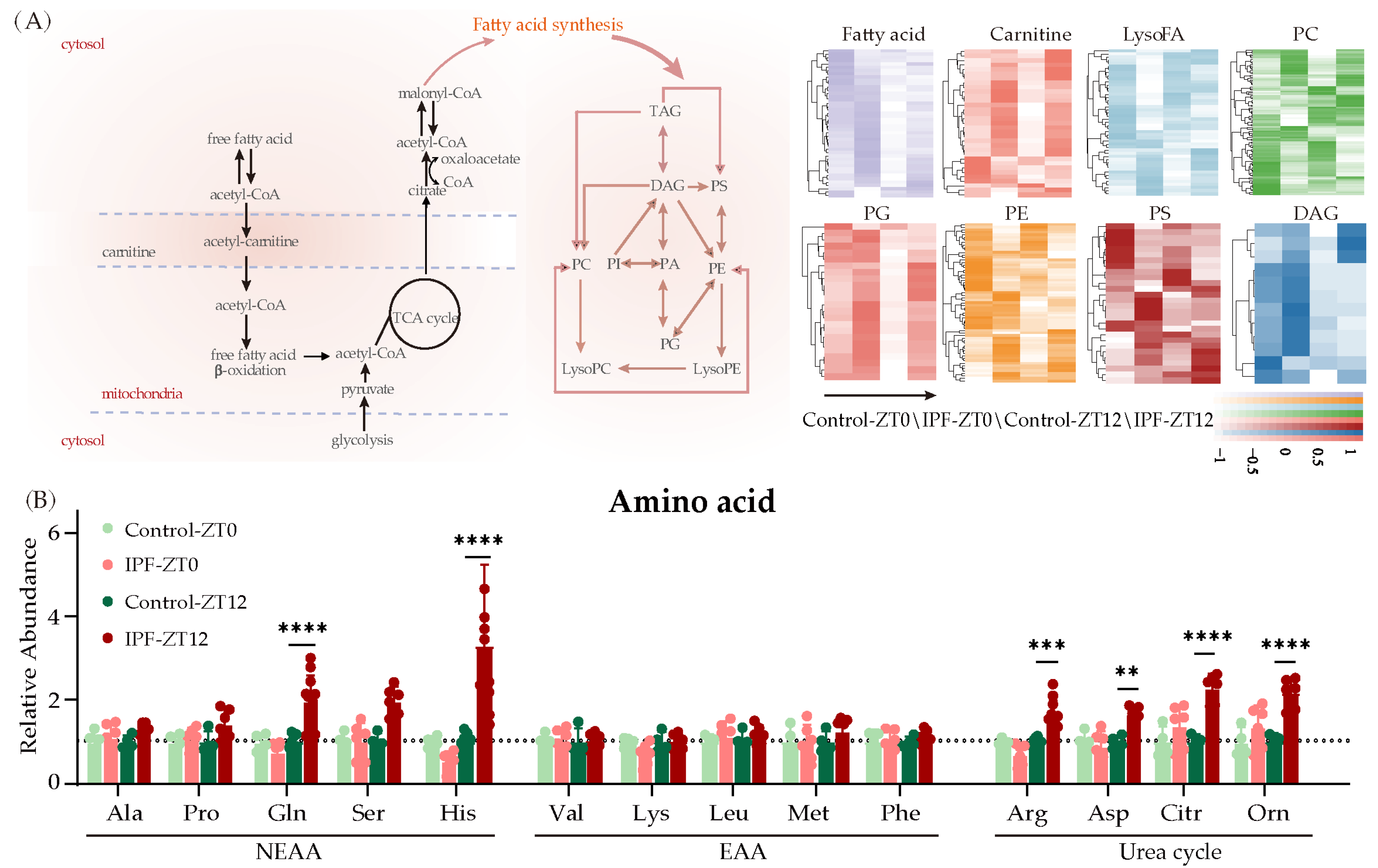 Metabolites 13 01069 g004 Metabolites 13 01069 g004