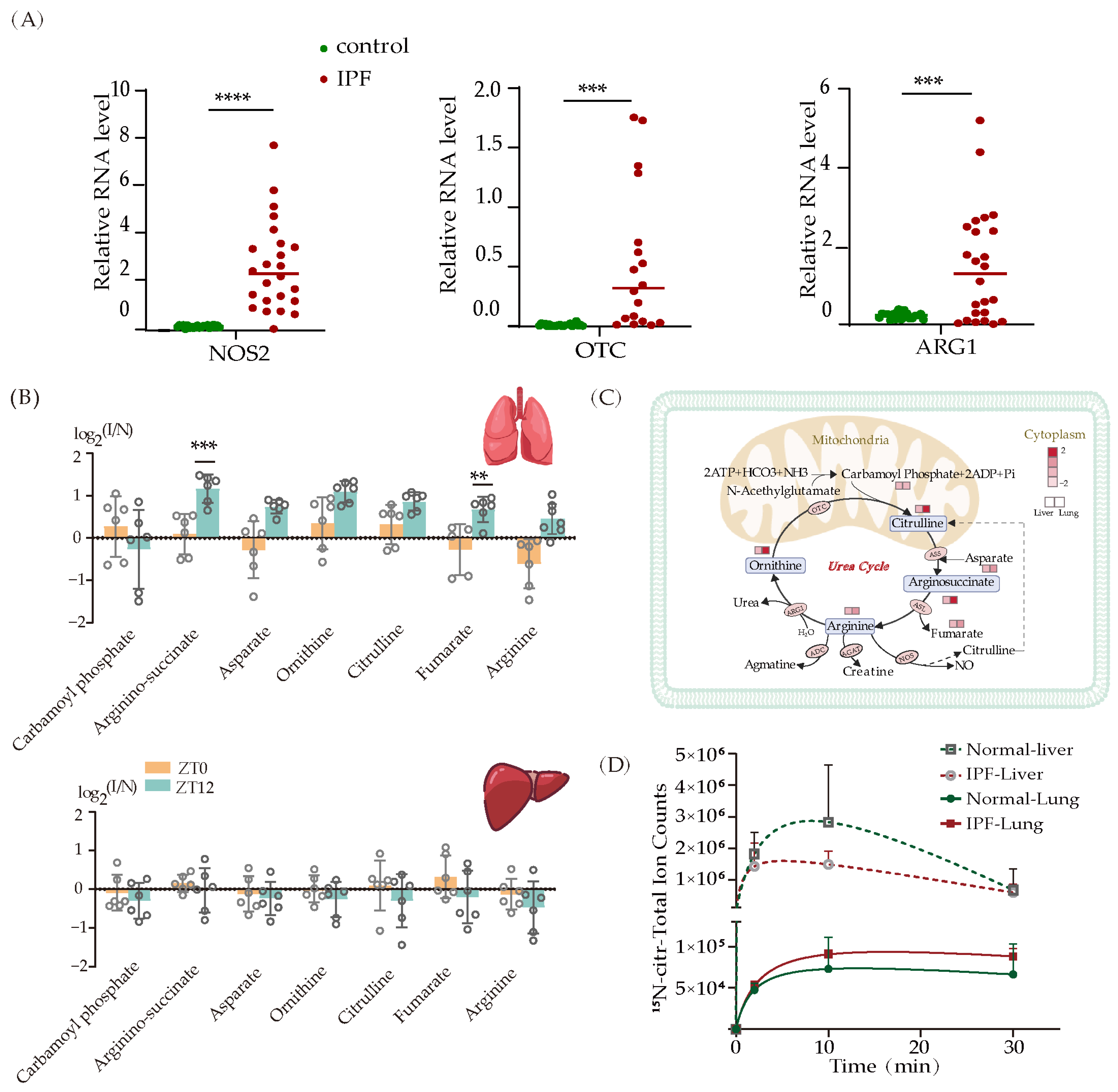 Metabolites 13 01069 g005 Metabolites 13 01069 g005