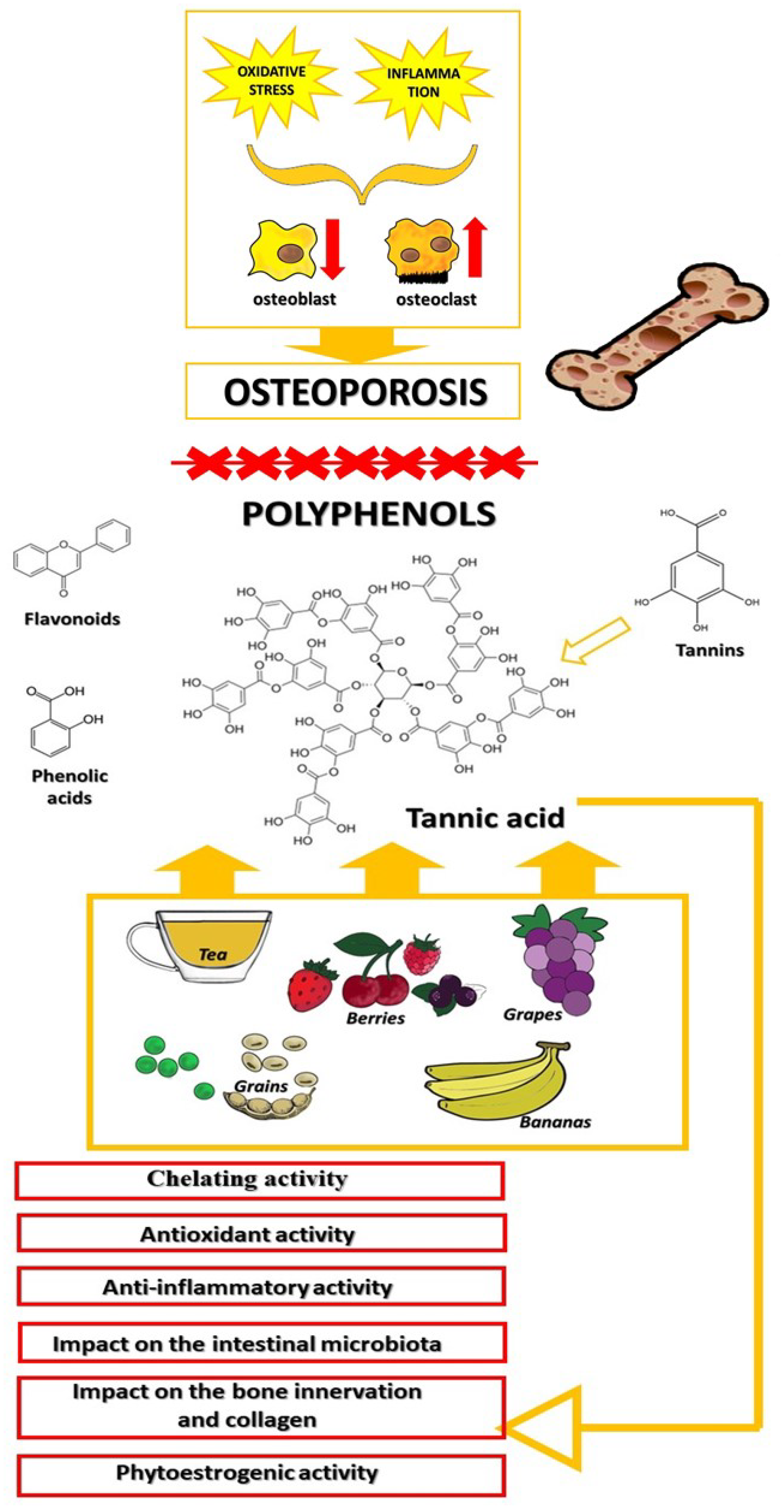 Metabolites 13 01072 g001