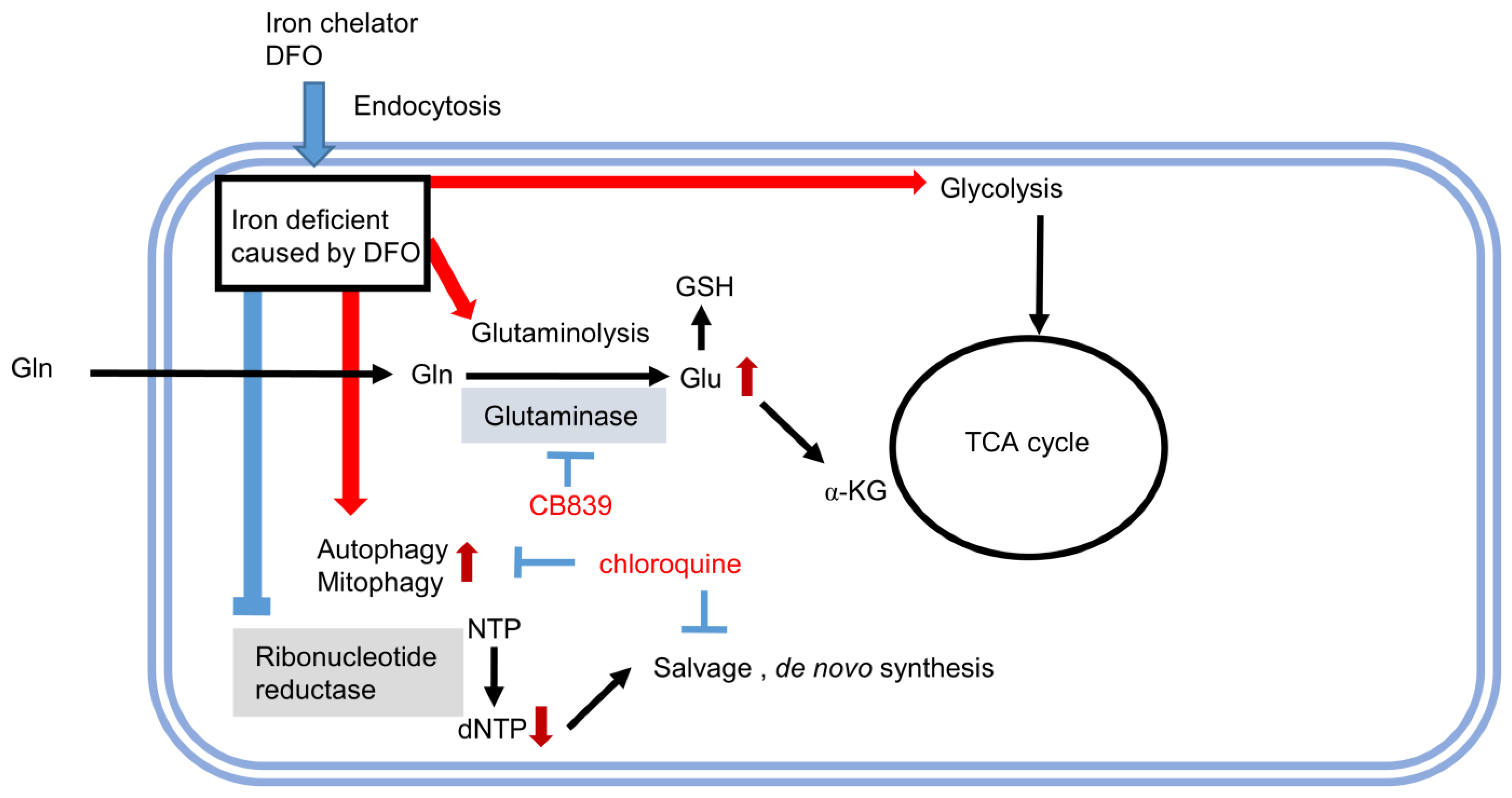 Metabolites 13 01073 g005