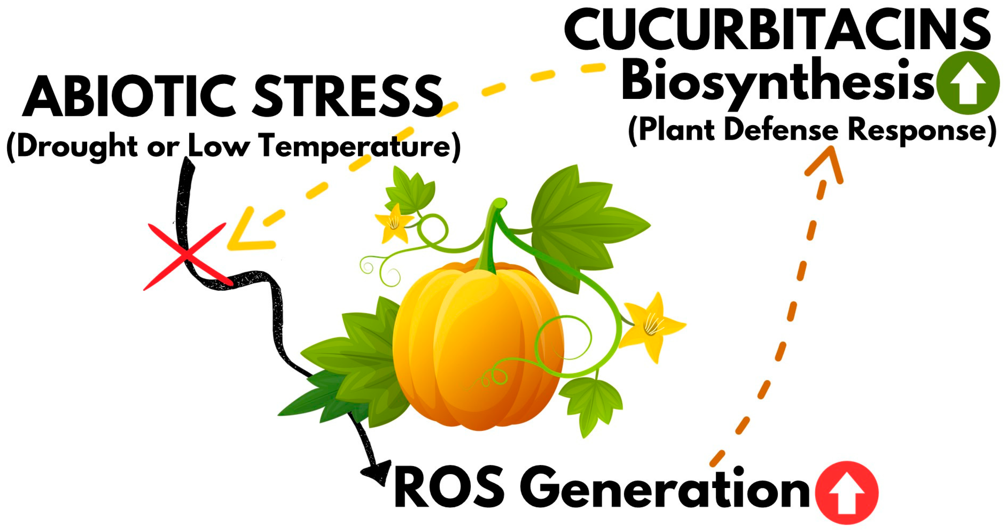 Metabolites 13 01081 g006