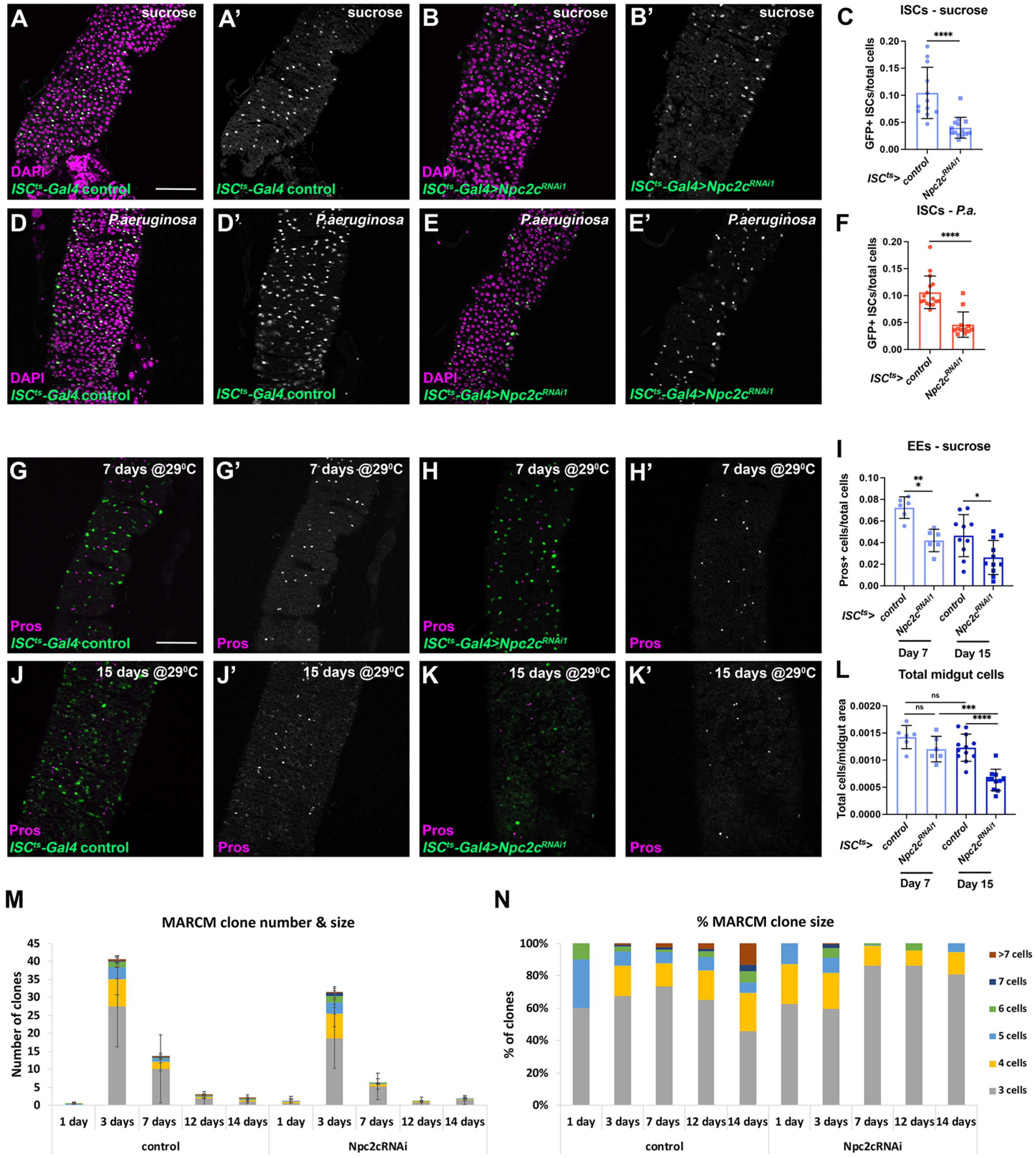 Metabolites 13 01084 g003
