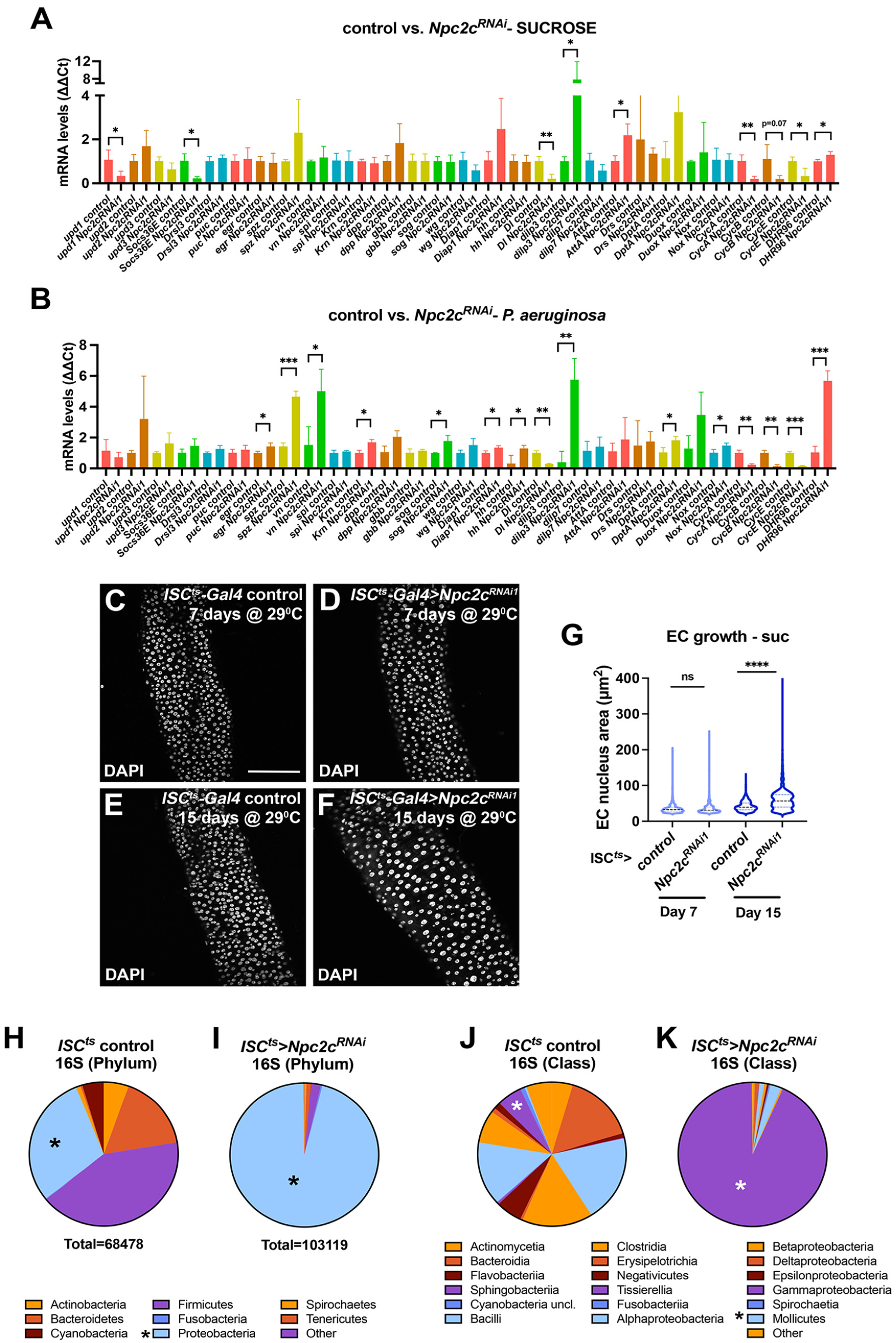 Metabolites 13 01084 g005