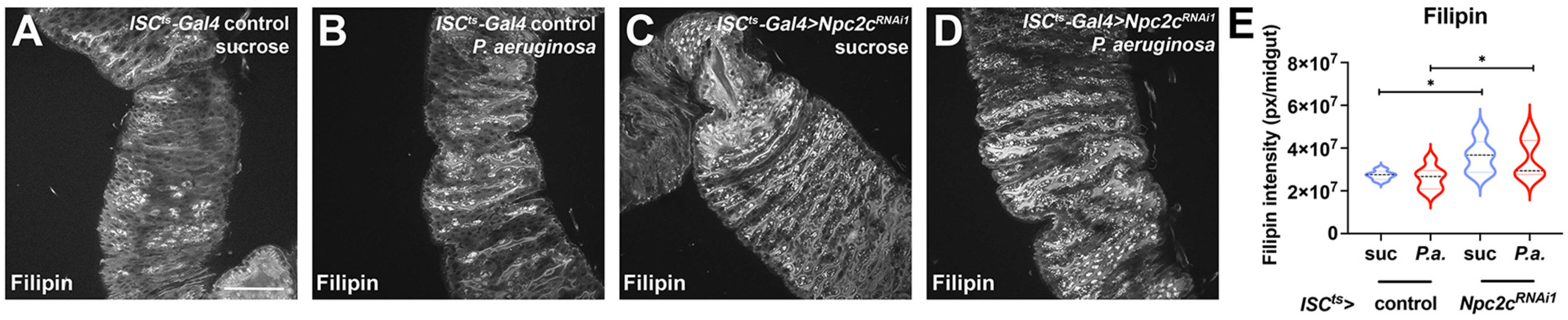 Metabolites 13 01084 g006