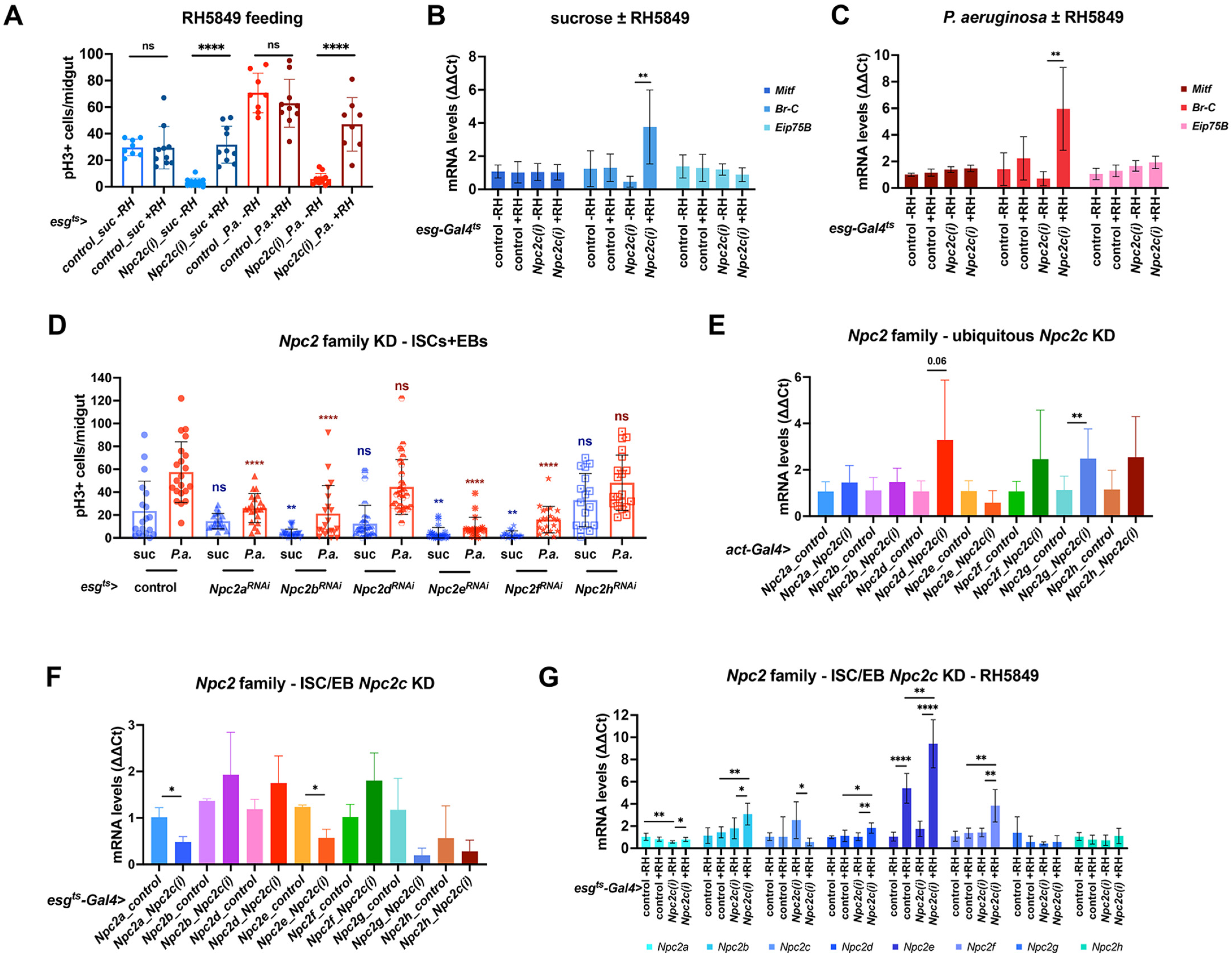 Metabolites 13 01084 g007