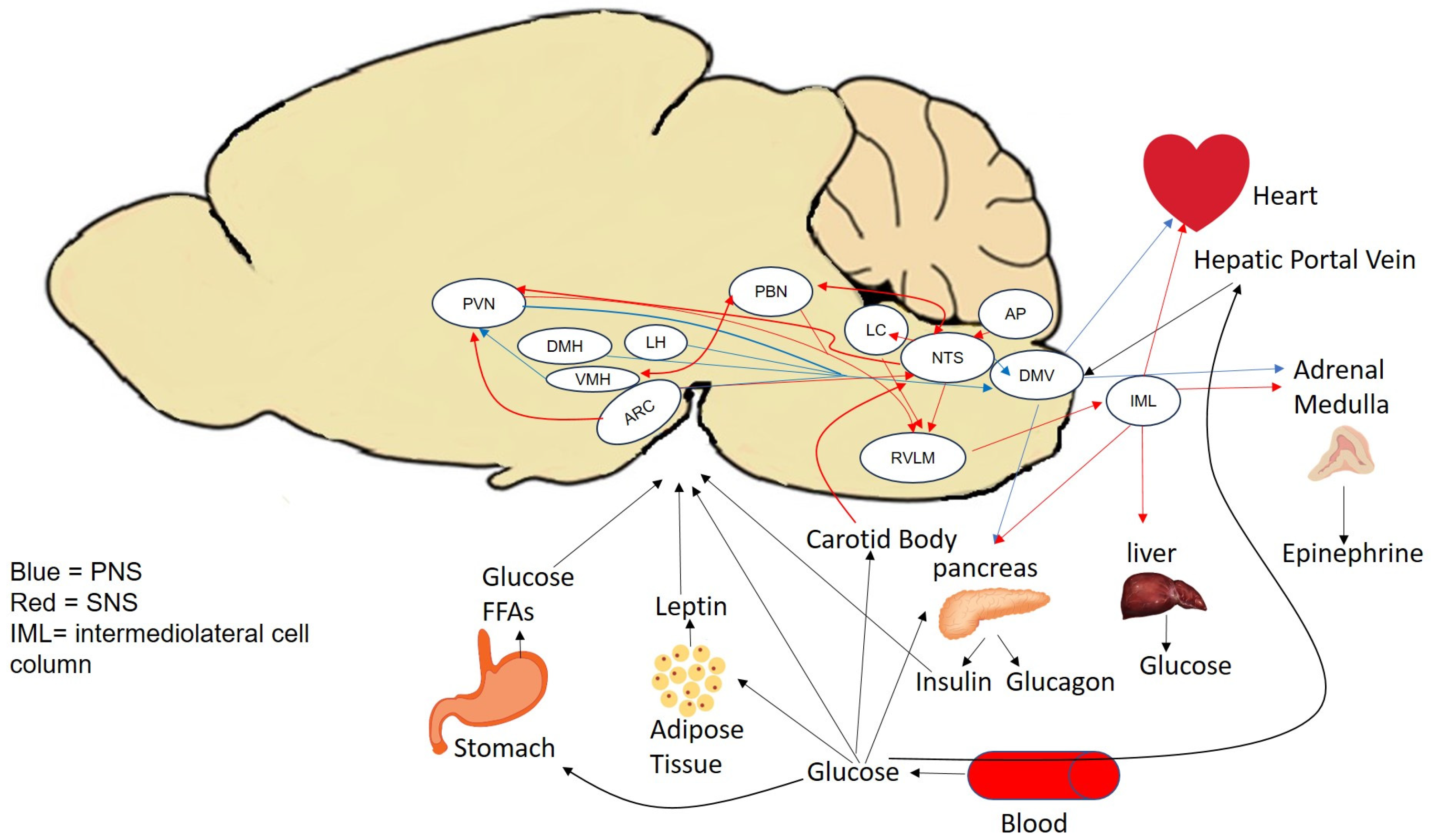Metabolites 13 01089 g002