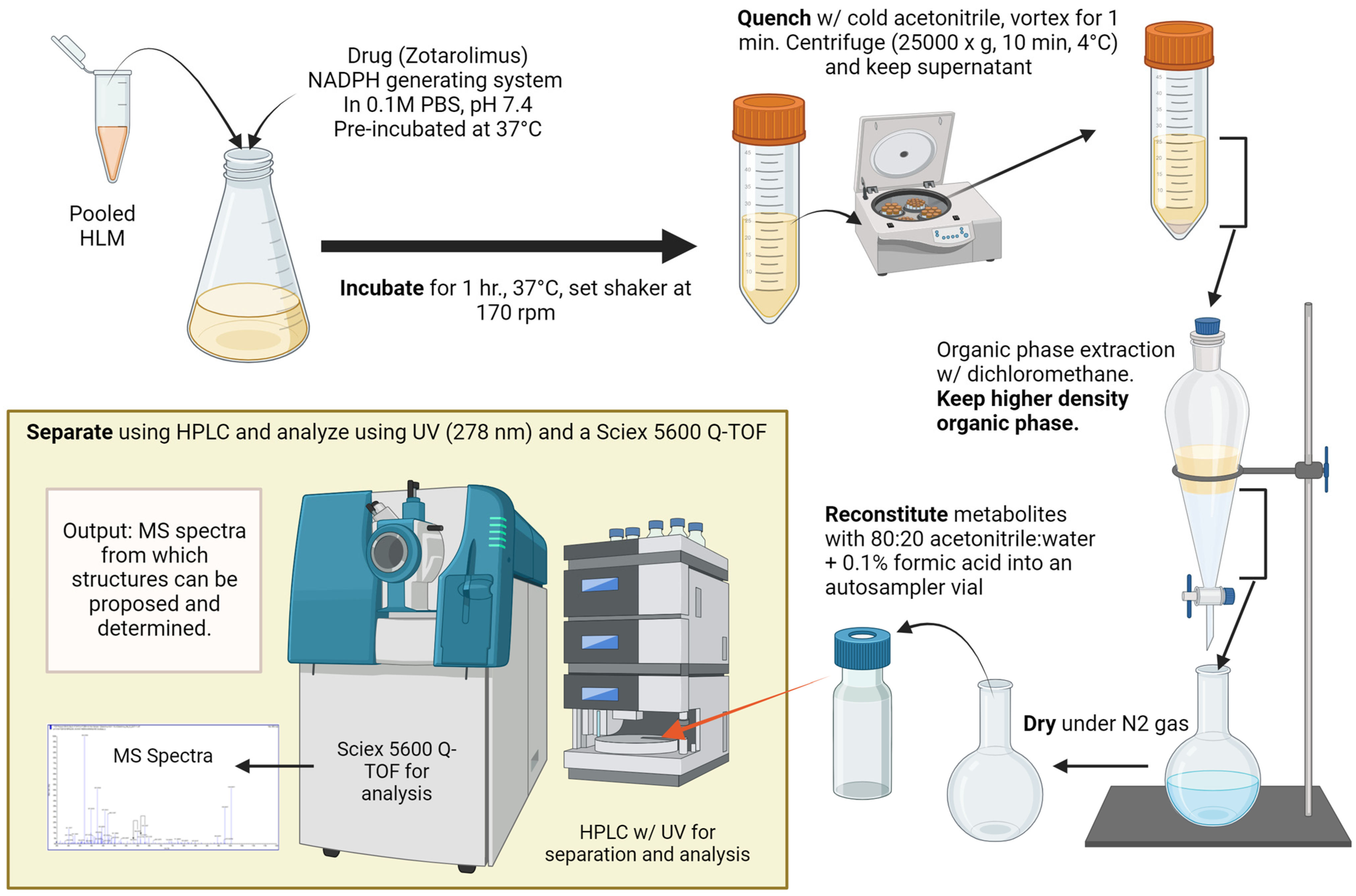 Metabolites 13 01093 g002