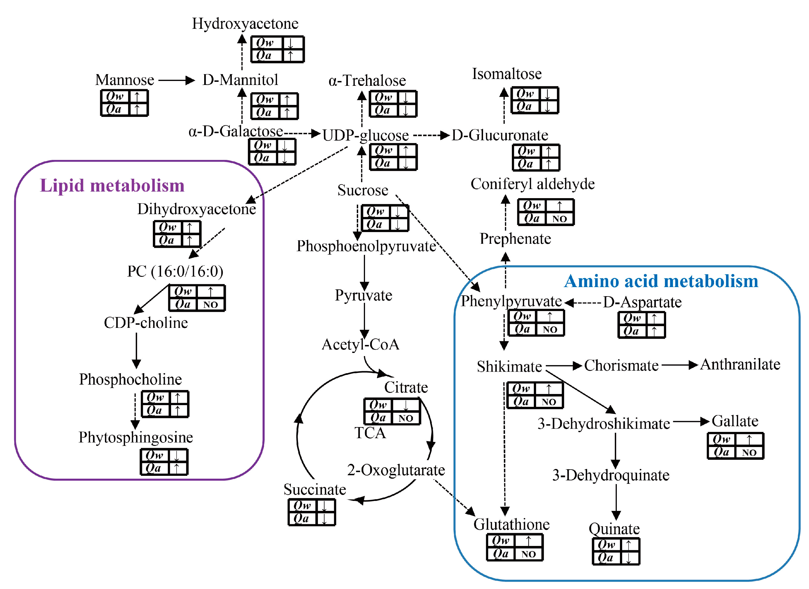Metabolites 13 01094 g007 Metabolites 13 01094 g007