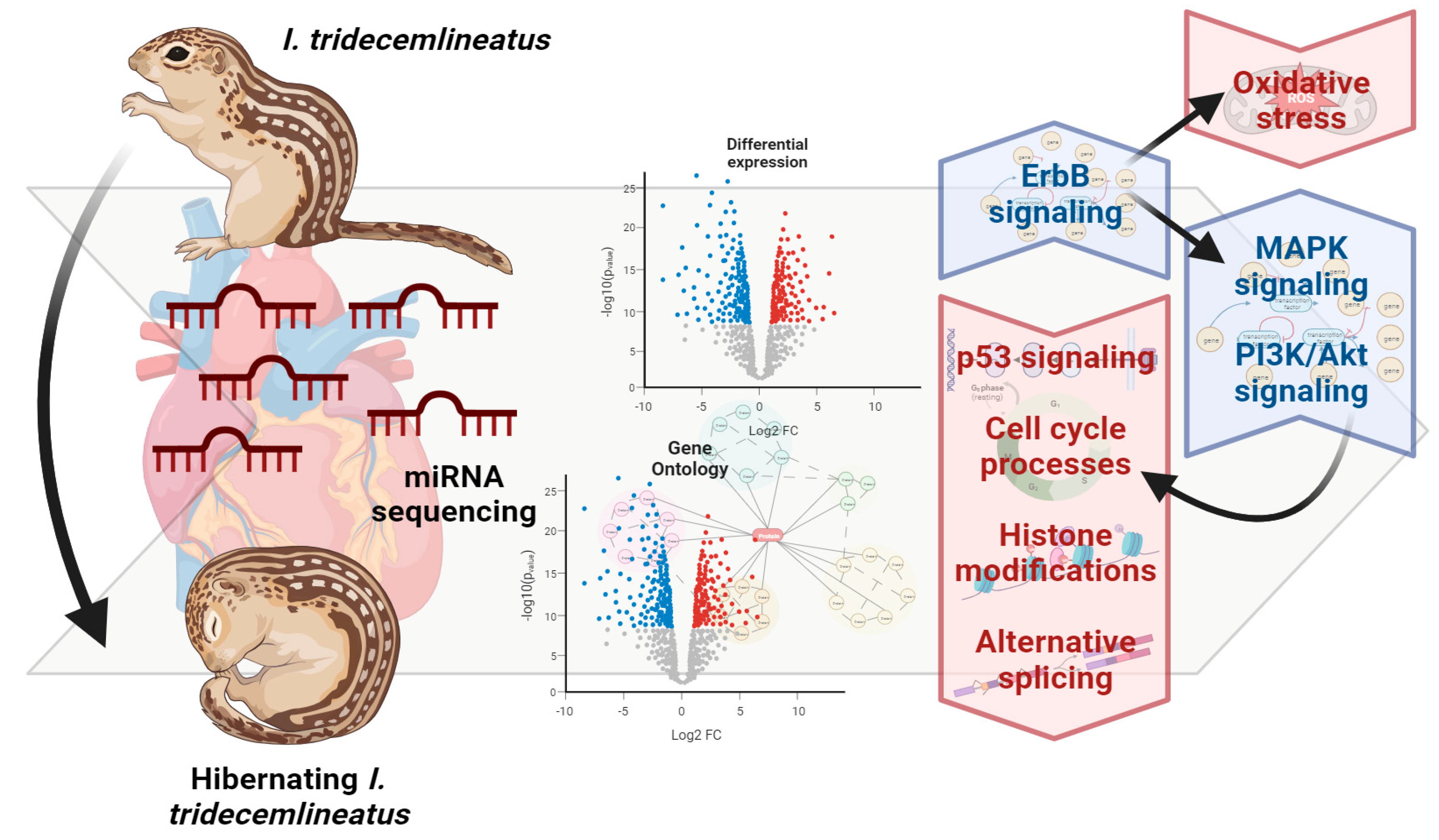 Metabolites 13 01096 g006