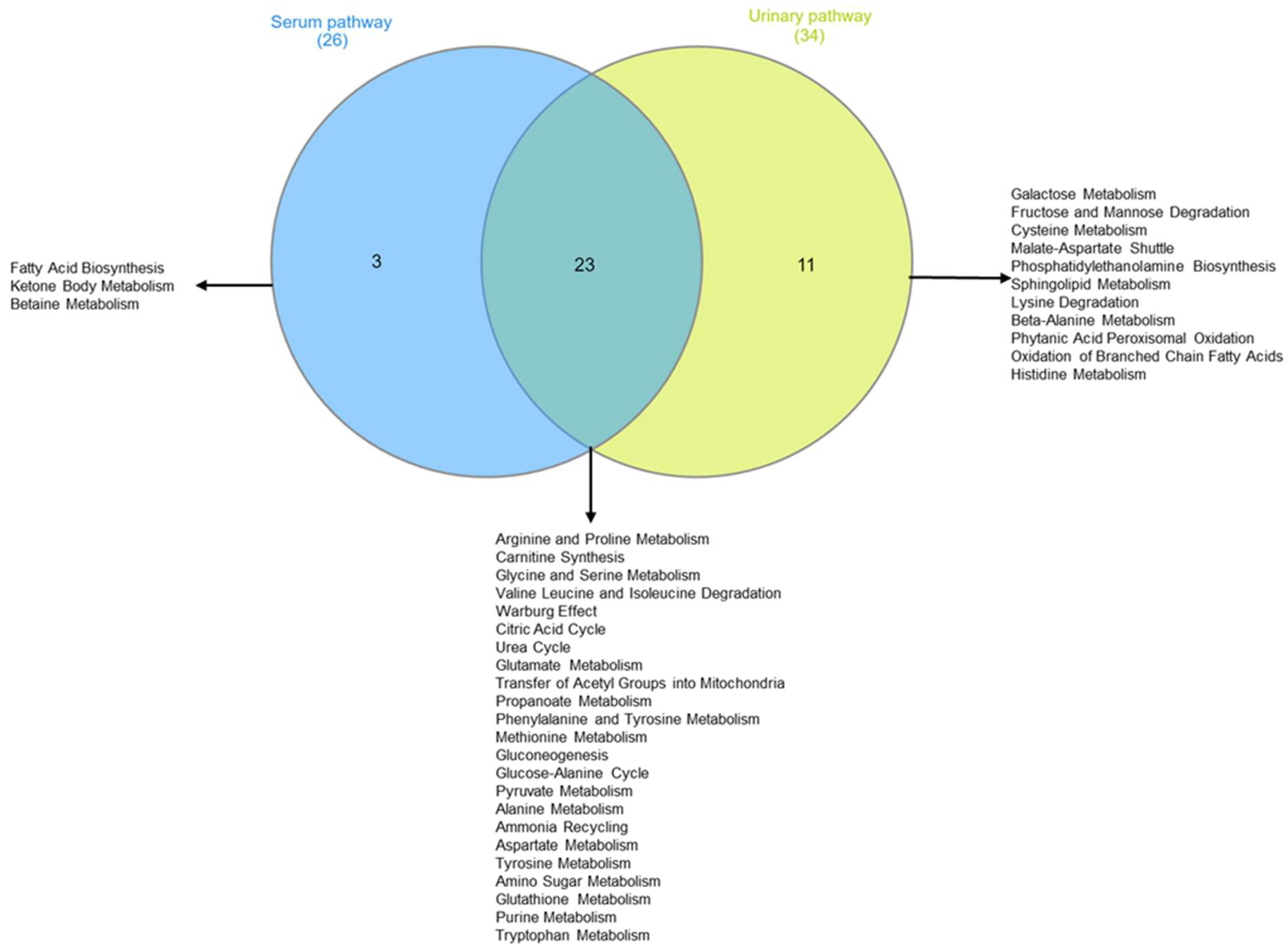 Metabolites 13 01109 g009