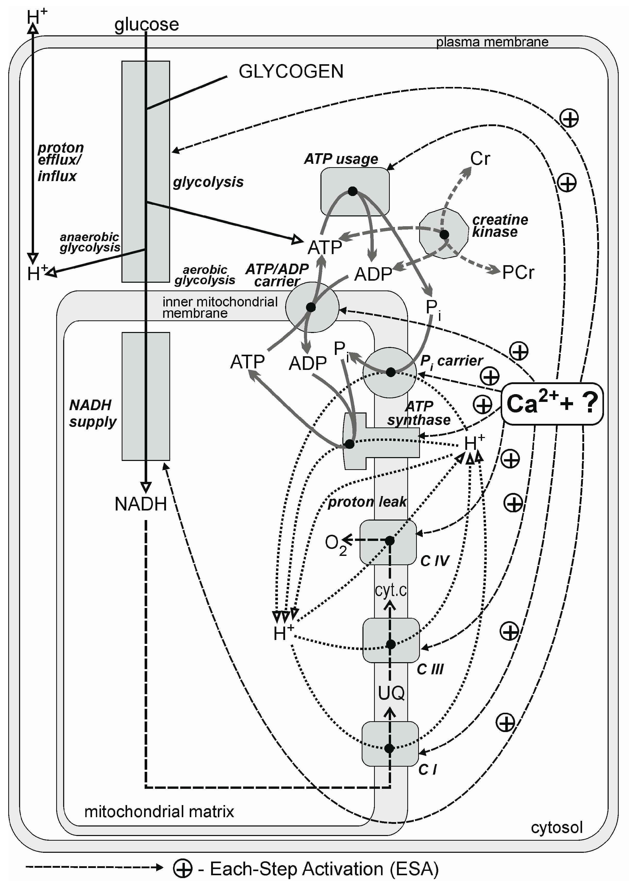 Metabolites 13 01111 g001