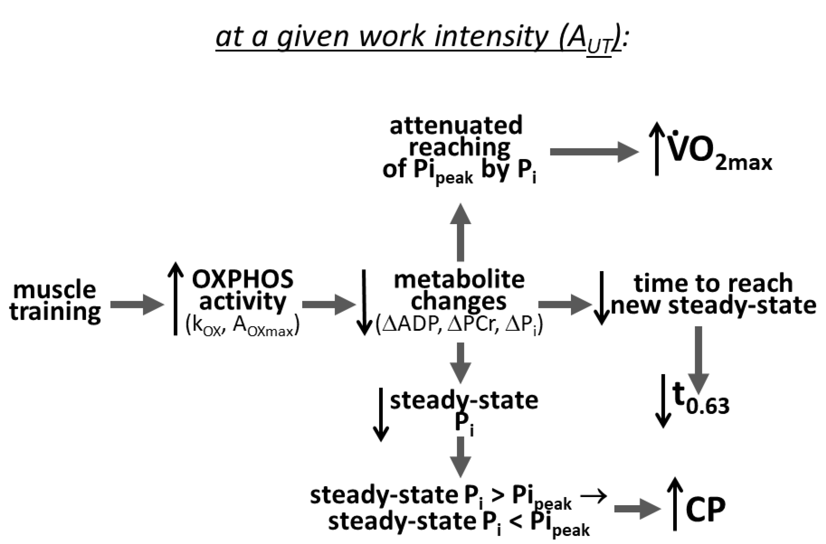 Metabolites 13 01111 g007